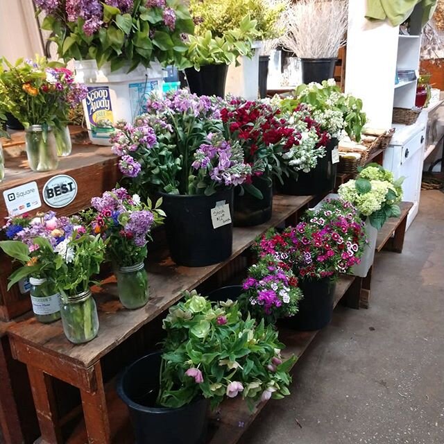 Good morning #bethesdamaryland!
Plant Masters is open today with #lilac, #stock, #snapdragons, #helleborres, #ranunculus #sweetwilliam and more.  And lots of plants outside.  Social distance yourself and visit.  We missed you.
#bethedafarmersmarket #