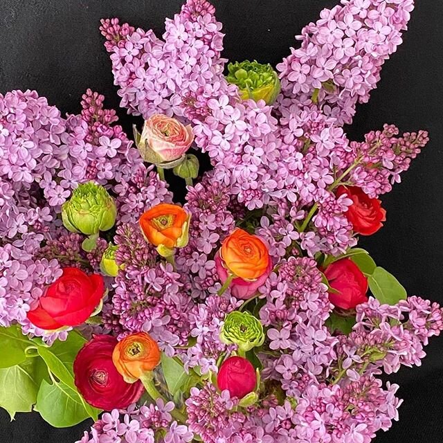 Olney Md Flowers Best Flower Site