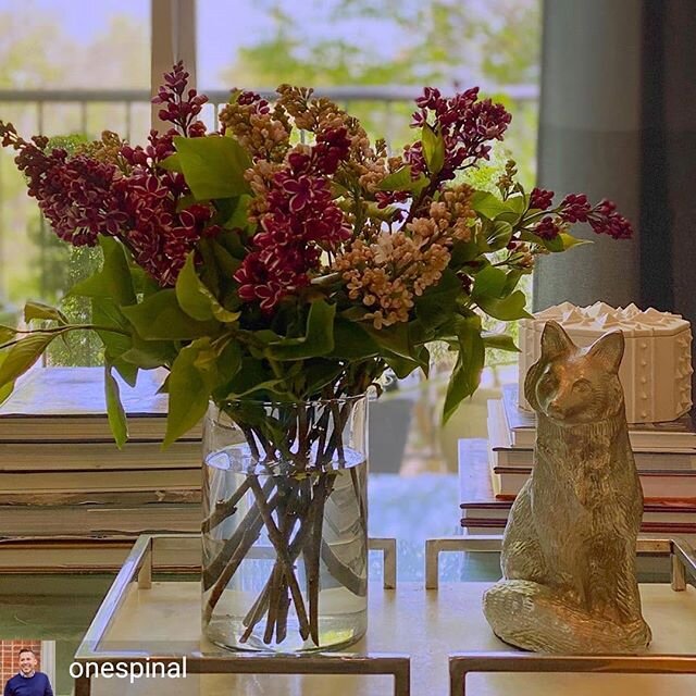 Just sharing this pretty vase full of lilacs from @onespinal, tagging @jonathanadler 
What a great #lilac season!  Thanks guys!