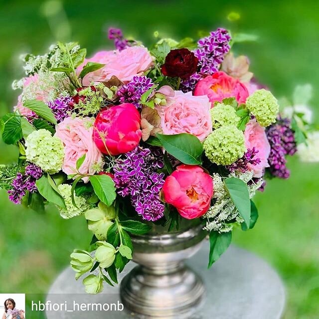 Another look at #locallygrownflowers.  @hbfiori_hermonb showcased our #lilac, #viburnum and #hellebores for this stunning arrangement.  Hoping all the Mothers who received #freshlocalflowers felt honored and loved.