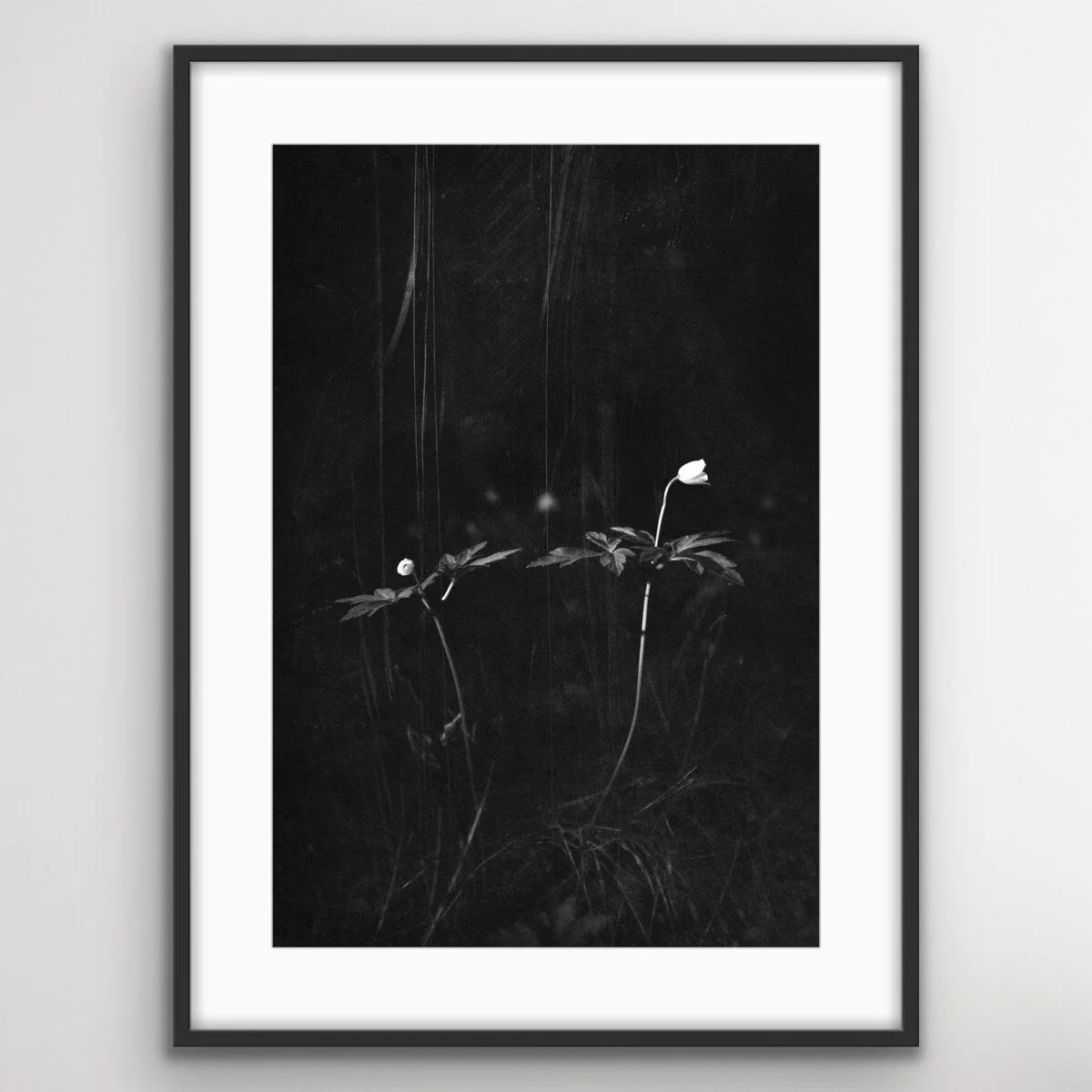 8F840C77-07D7-46BA-B958-0F03FEAE7642