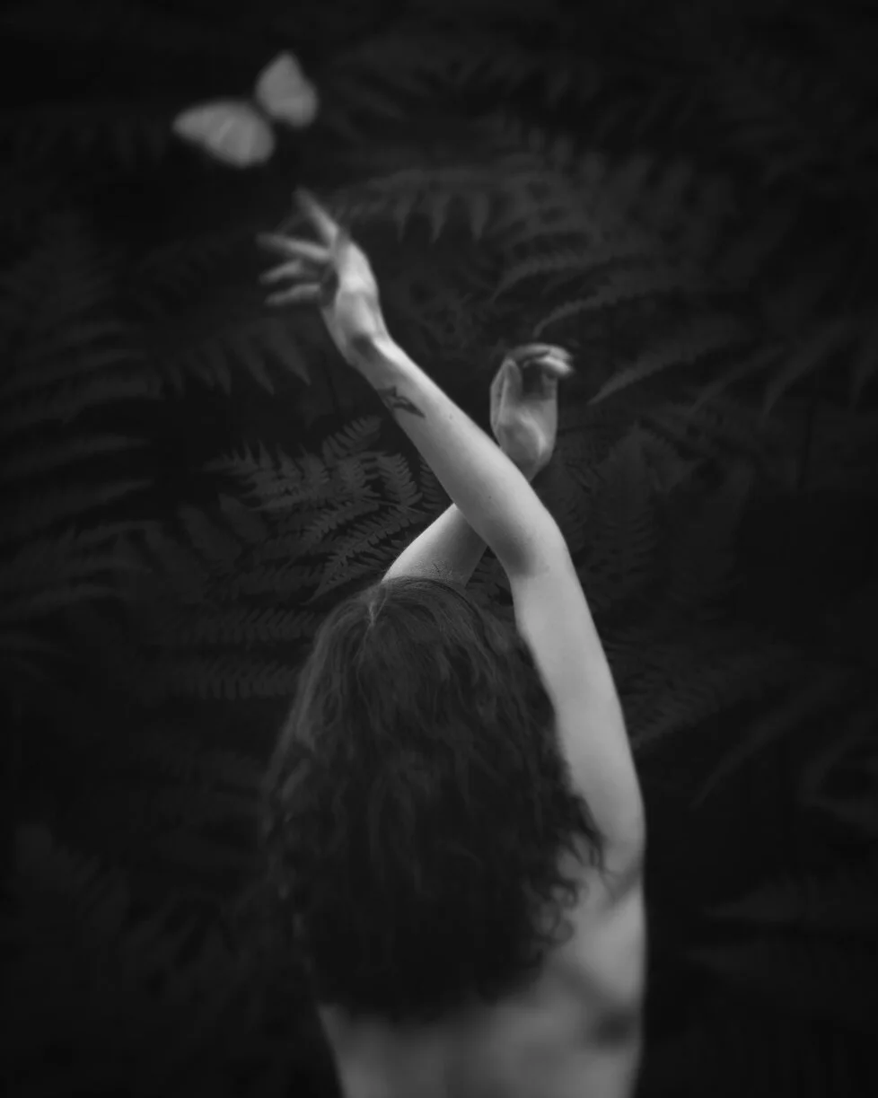 FB7CF2FC-37BE-495F-A094-8CAB94E5C39B