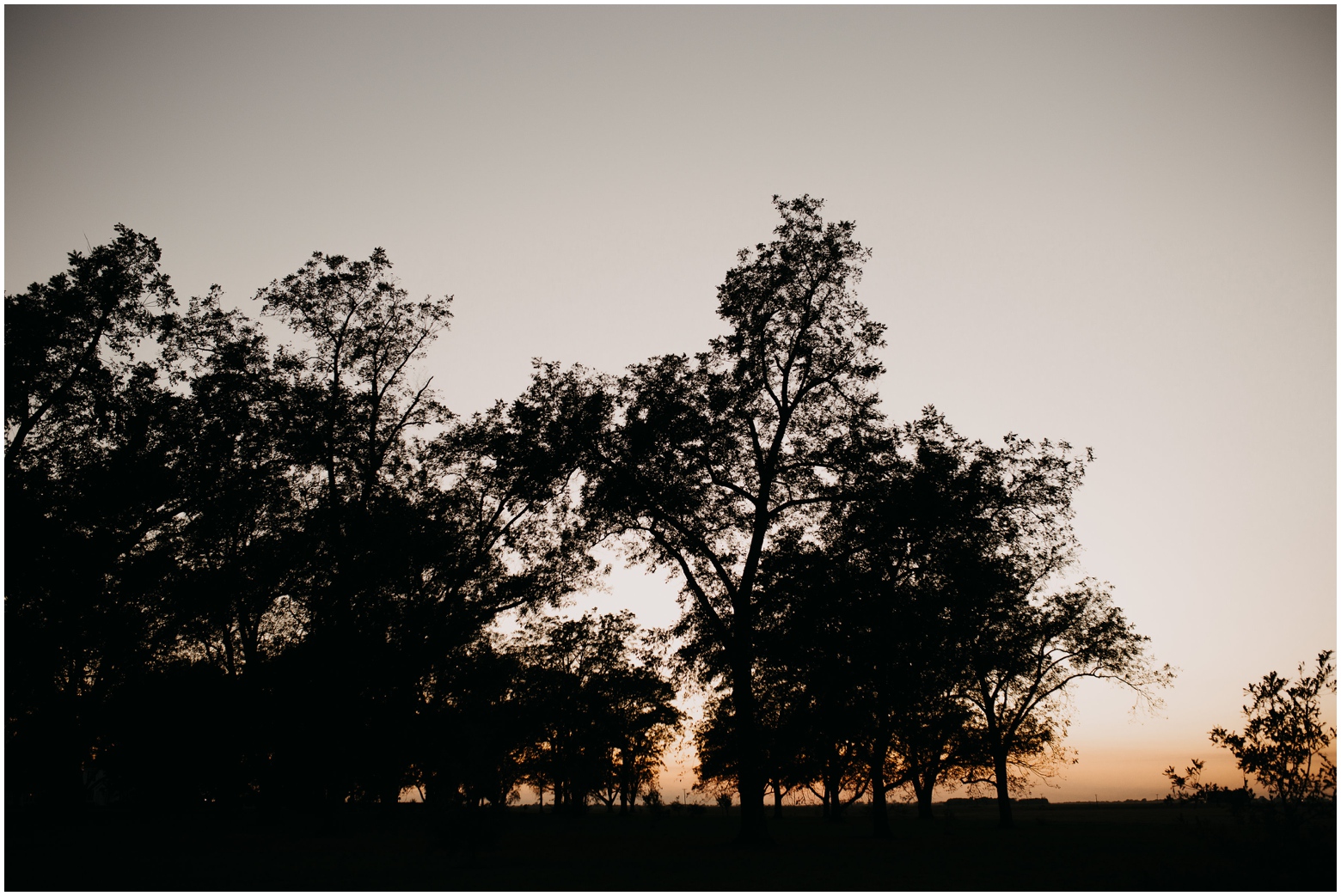 Memphis_Wedding_Photographer_0078.jpg