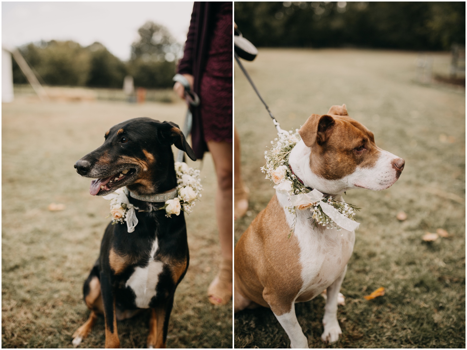 Memphis_Wedding_Photographer_0182.jpg