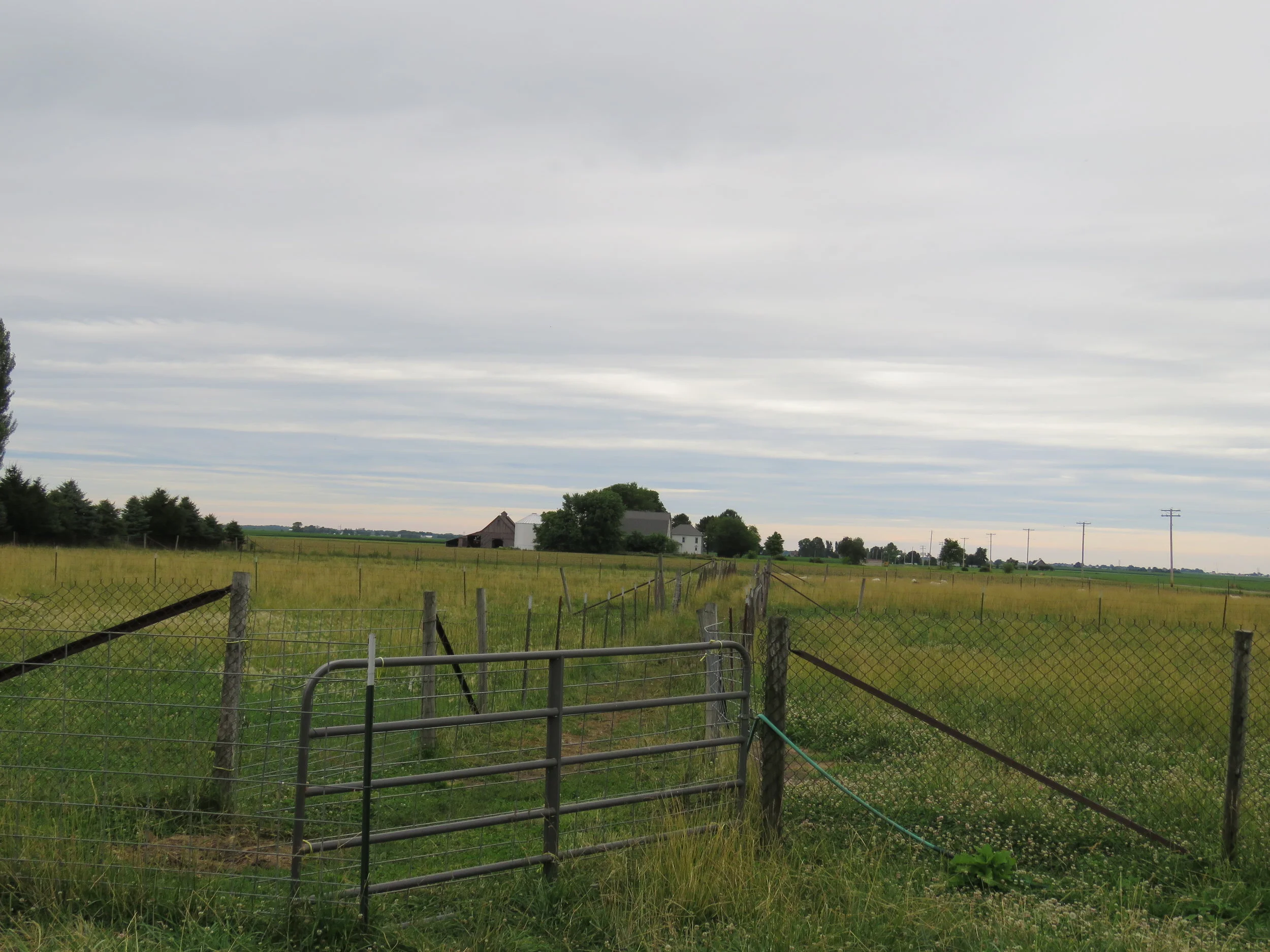 Bonje's camera 7-3-16 200.JPG