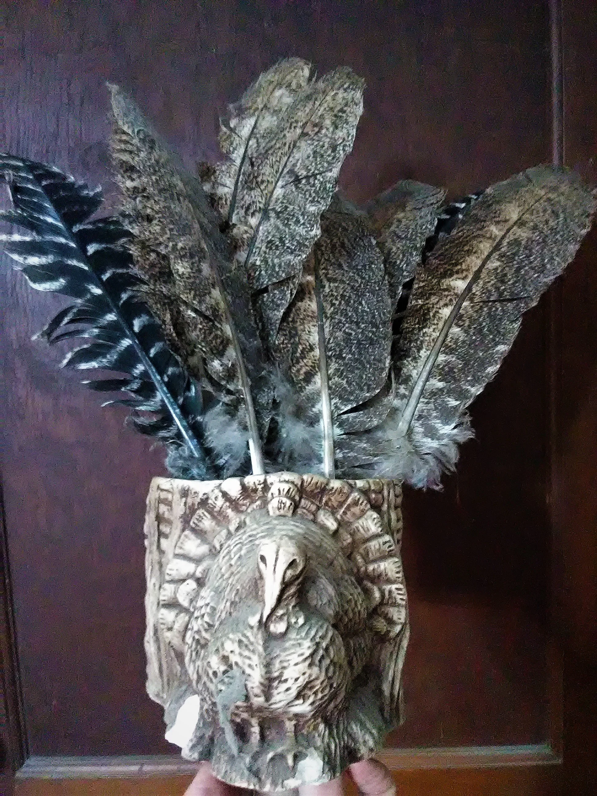 Broad-breasted bronze turkey feathers await creative hands. (Photo: Sarah N.)