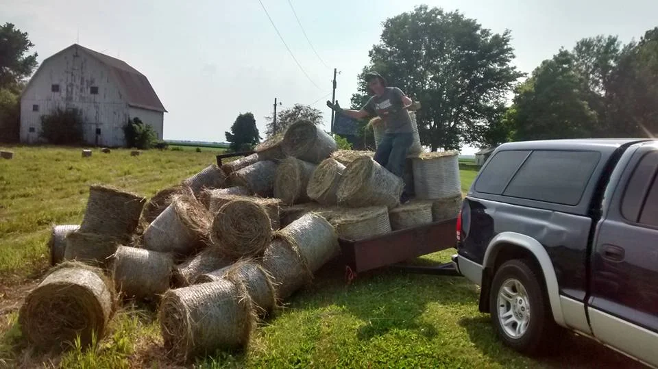 Make hay while the sun shines! (Photo: B. Gioja)