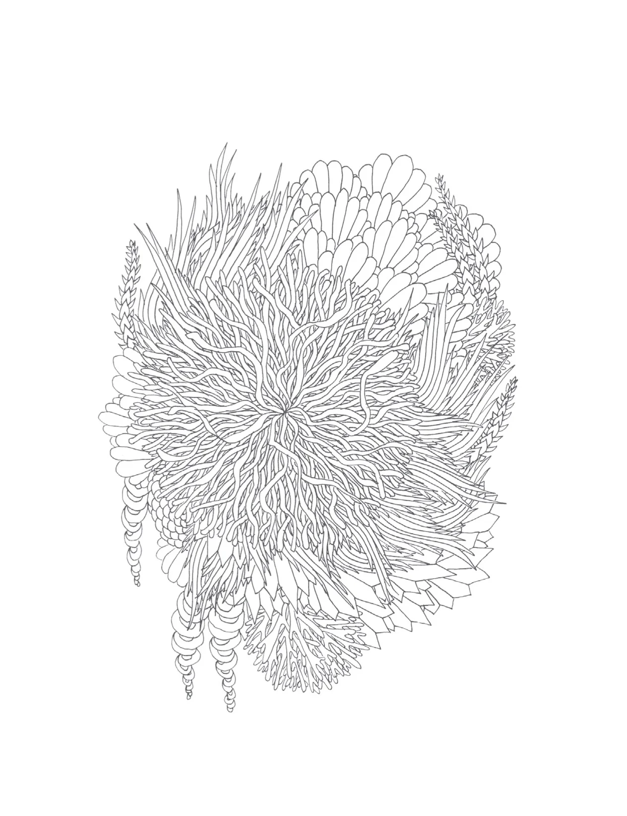 drawing2.jpg