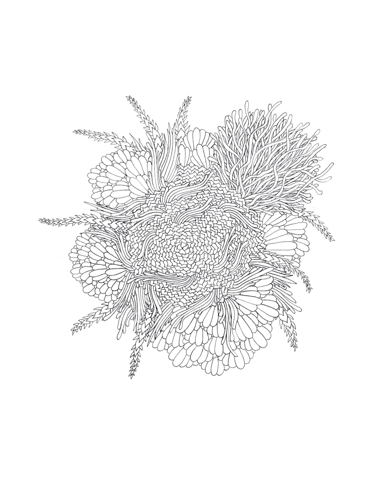 drawing5.jpg