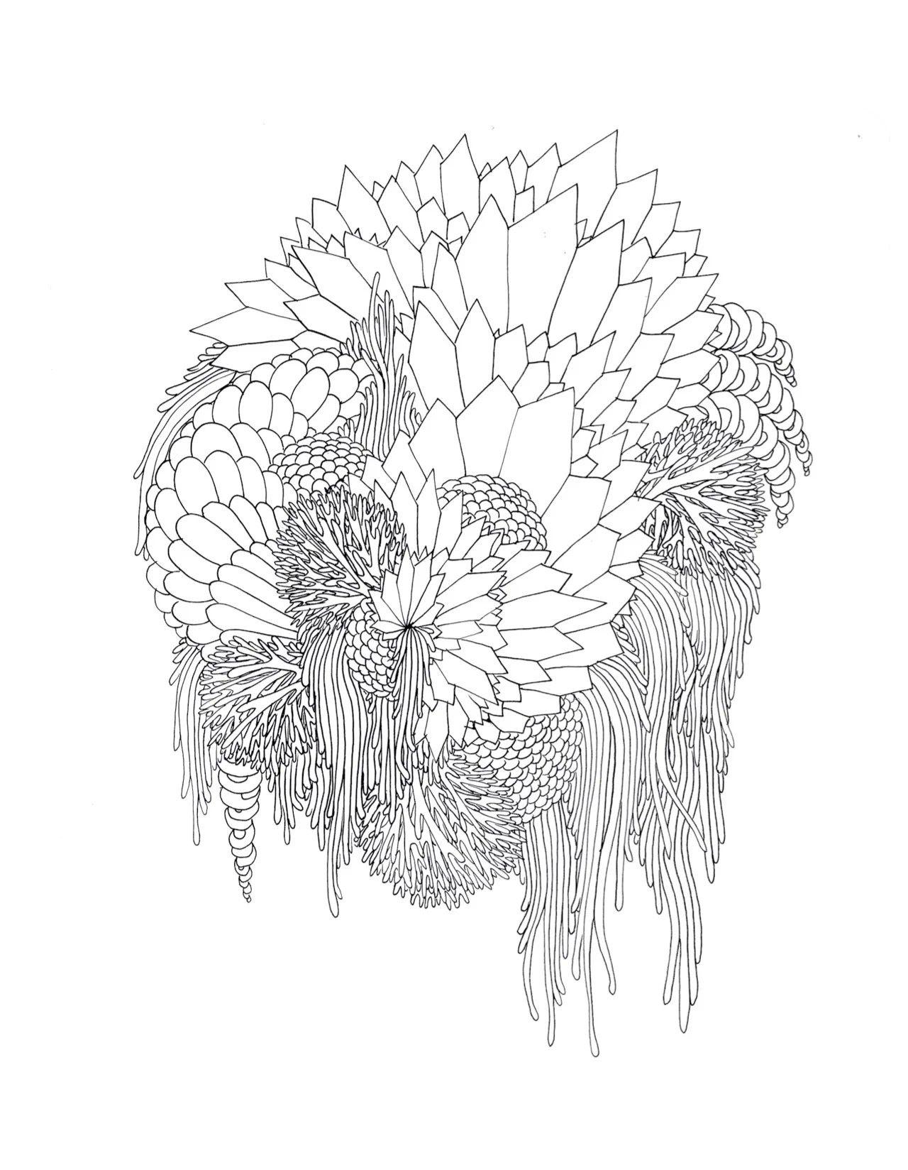 drawing6.jpg
