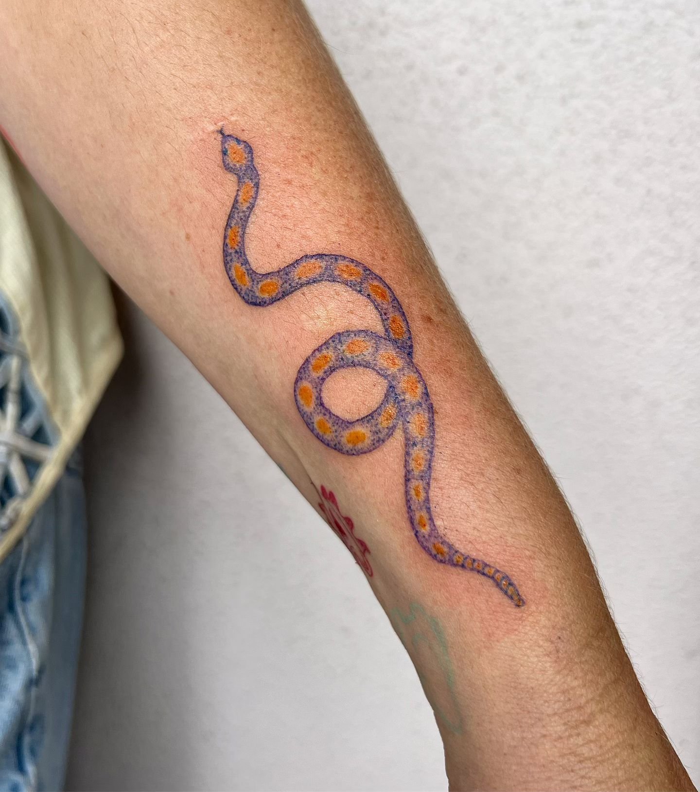 Purple and orange snake for Kirby &lt;3 color is possible :)