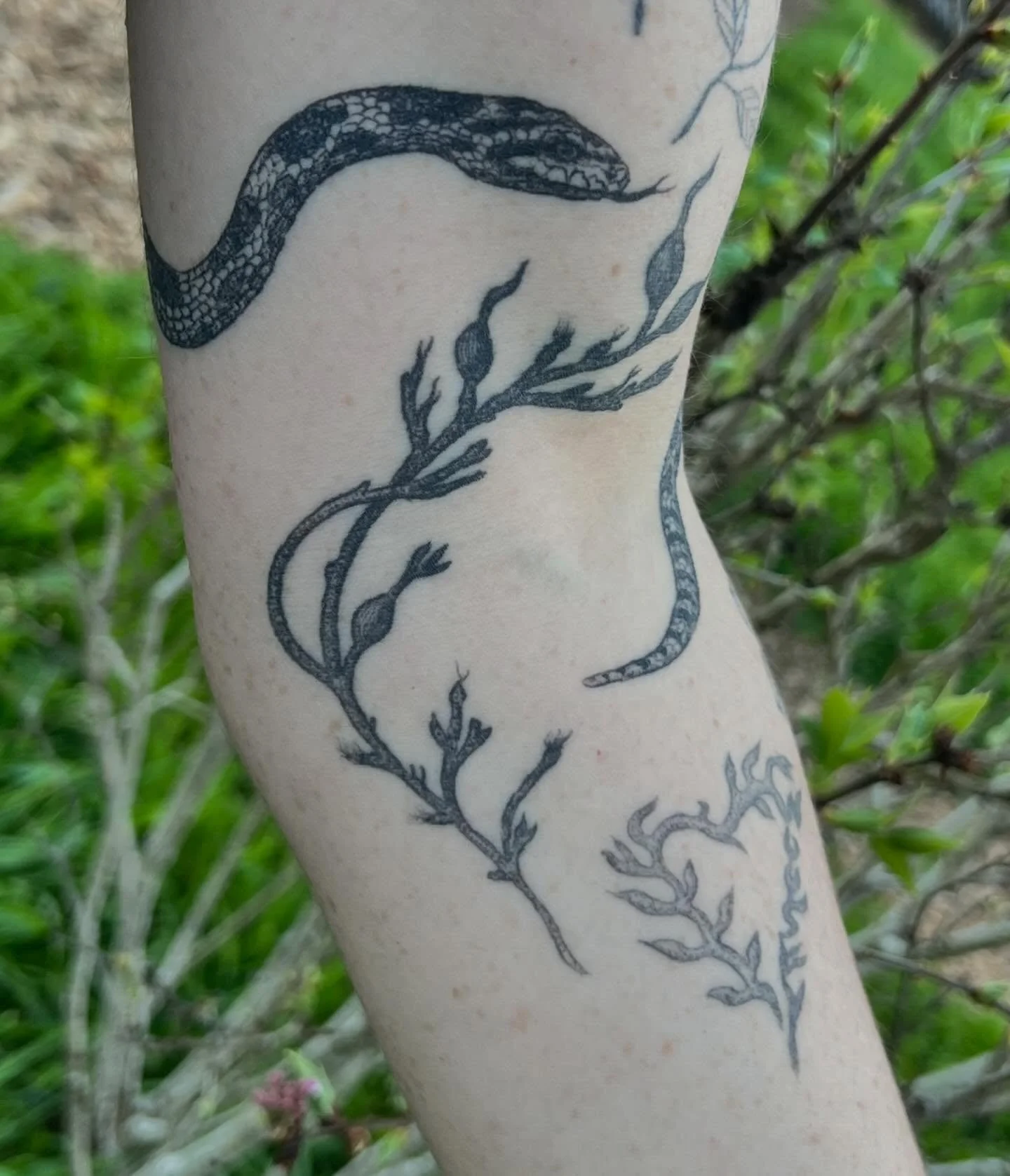 Several tattoos healed on Kimmy :) been loving adding to her arm over time. Gopher snake is my fave :)