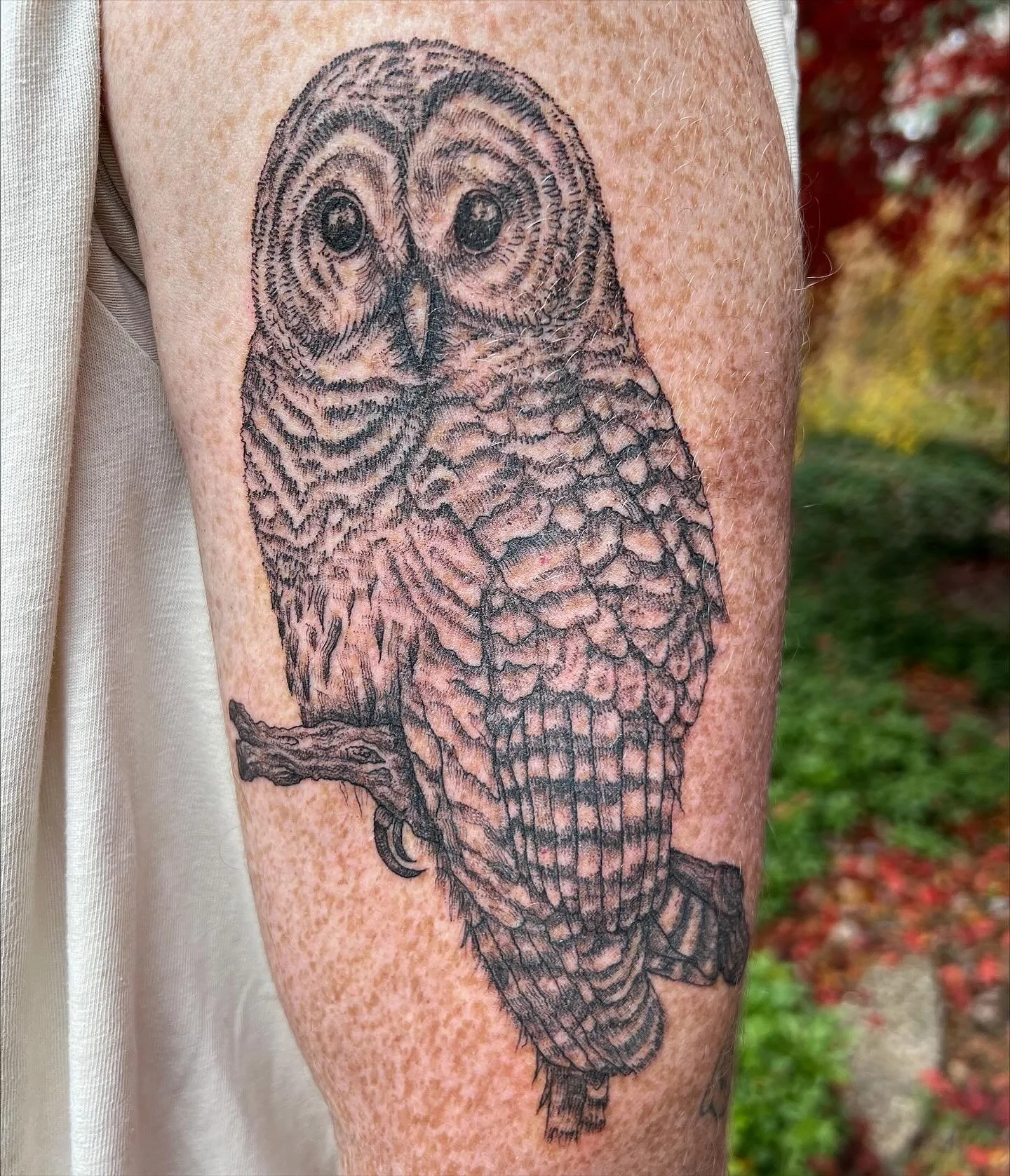 Owl for Dan :0 
Very proud of this one :::))))
Last slide shows the sharpie freehand drawing <3