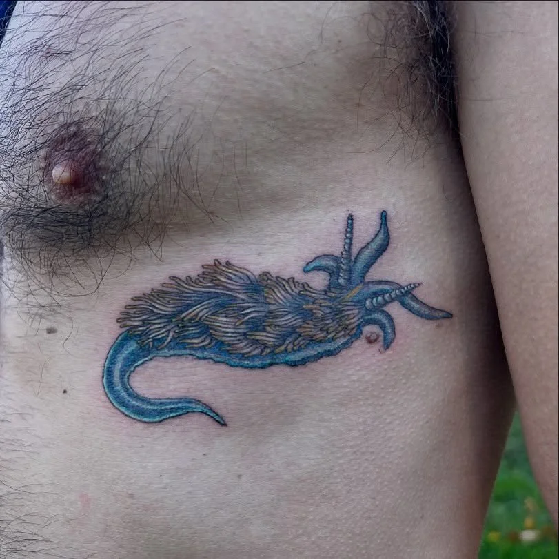 Nudibranch for my old friend Elia :) we both share a love / obsession with these tiny otherworldly creatures <3
