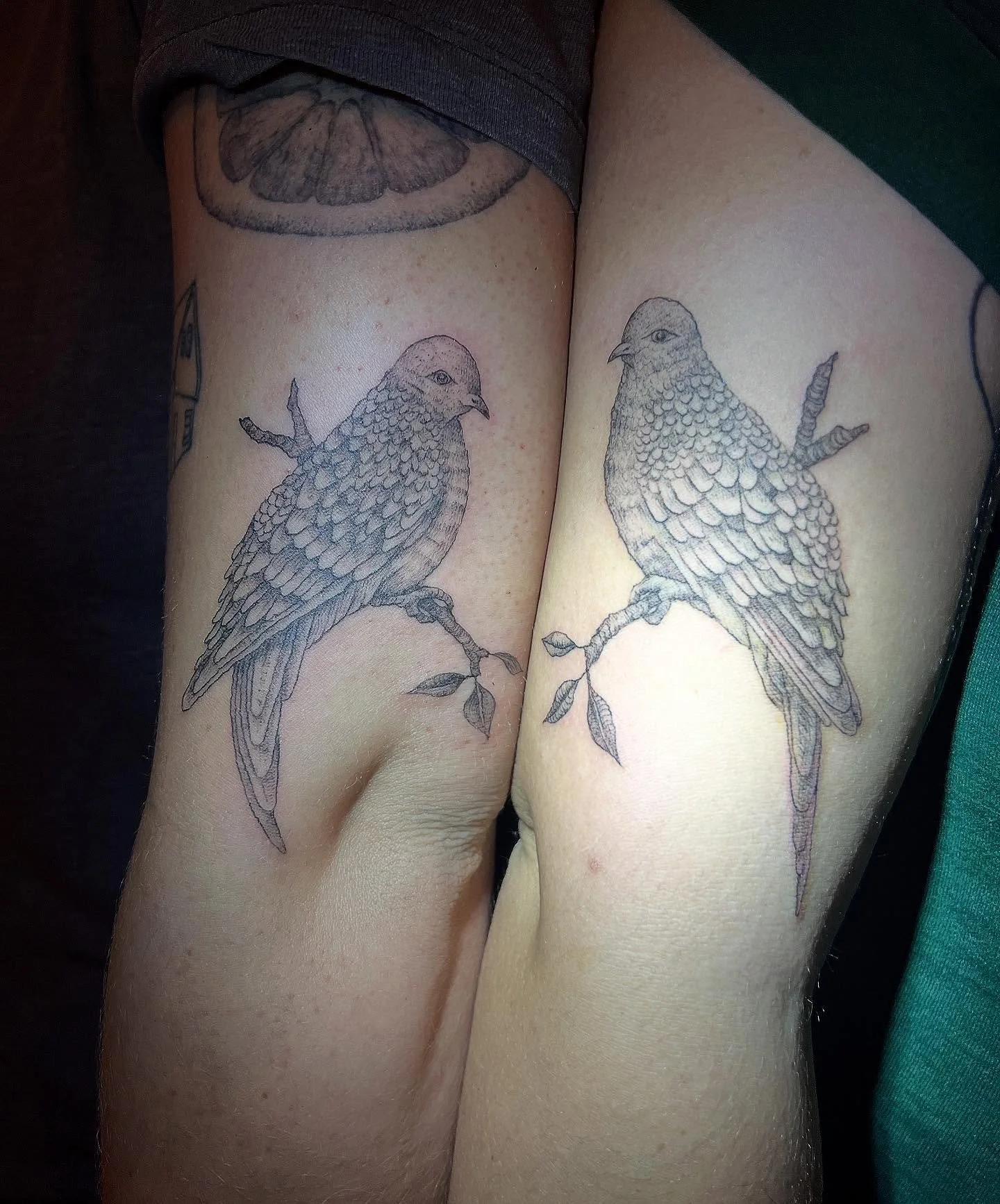 Matching love doves for Kyra and Maddison <3 how romantic ❣️