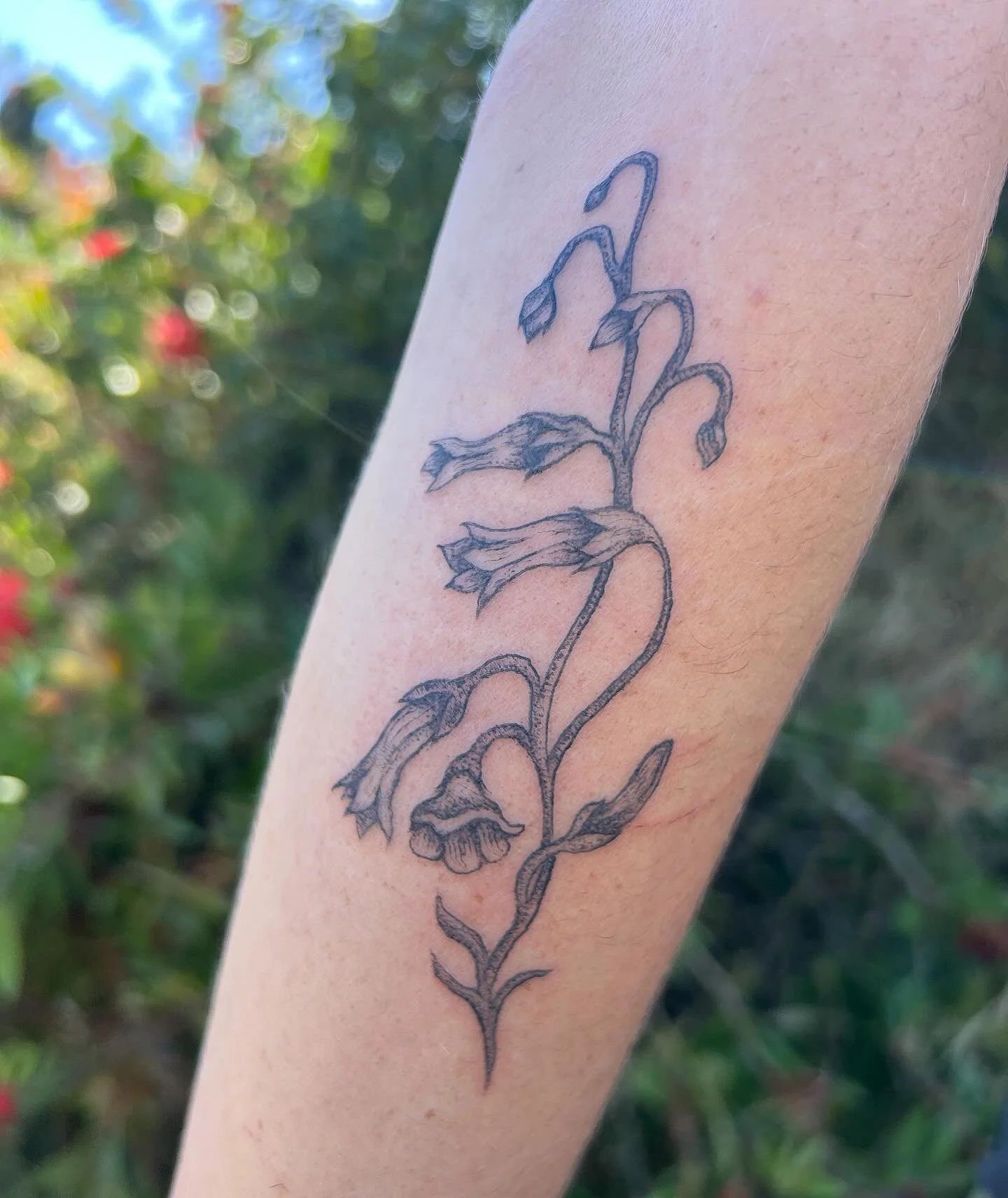 Penstemon flower for Kate <3
Next stop SLC! And then Denver :) still have some slots there 10/15 hmu :)