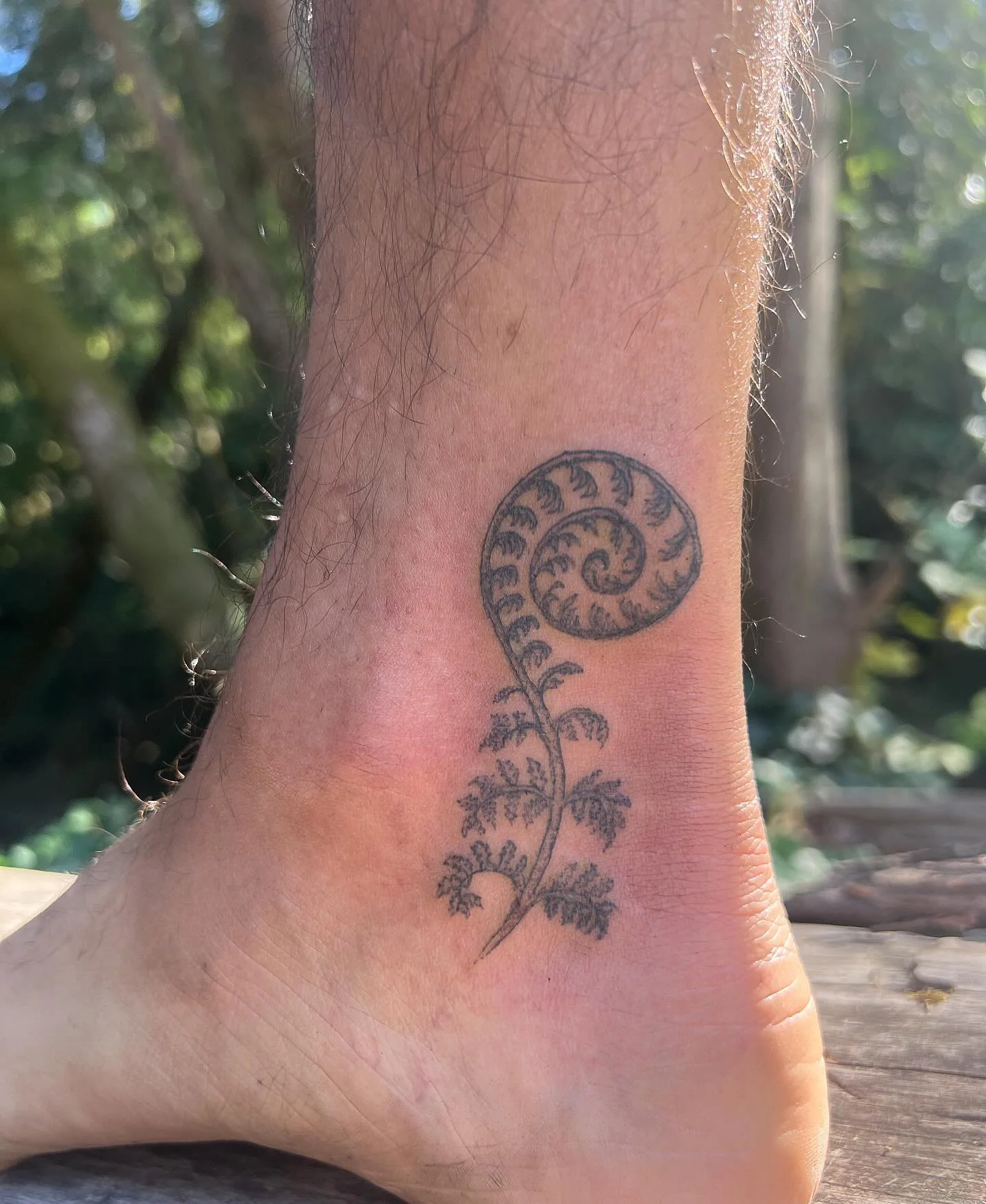 Furled fern :) NOW BOOKING:
10/11 SLC
10/15 Denver
11/1-2 Brooklyn
11/11 Asheville
11/15 Nashville
11/17-19 Santa Fe <3 DM or use jotform in bio to book 🌿