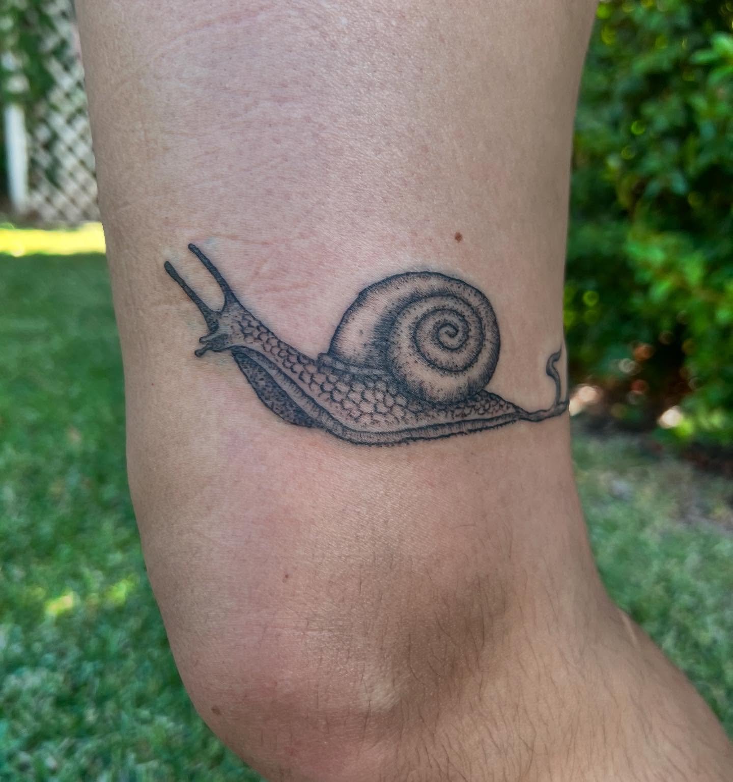 Slow 🐌 for @_strange_chalices_