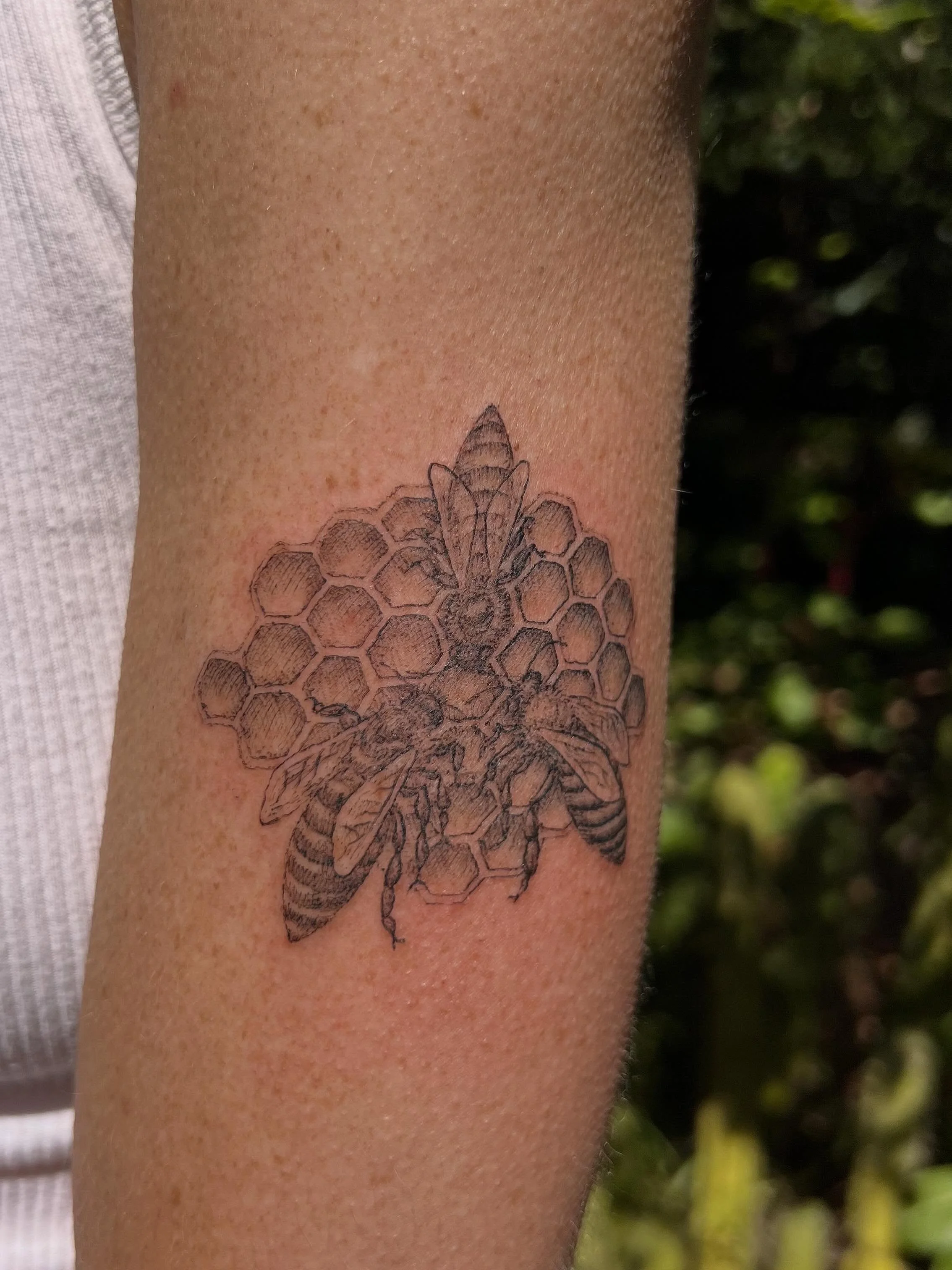 3 honeybees for Danah <3