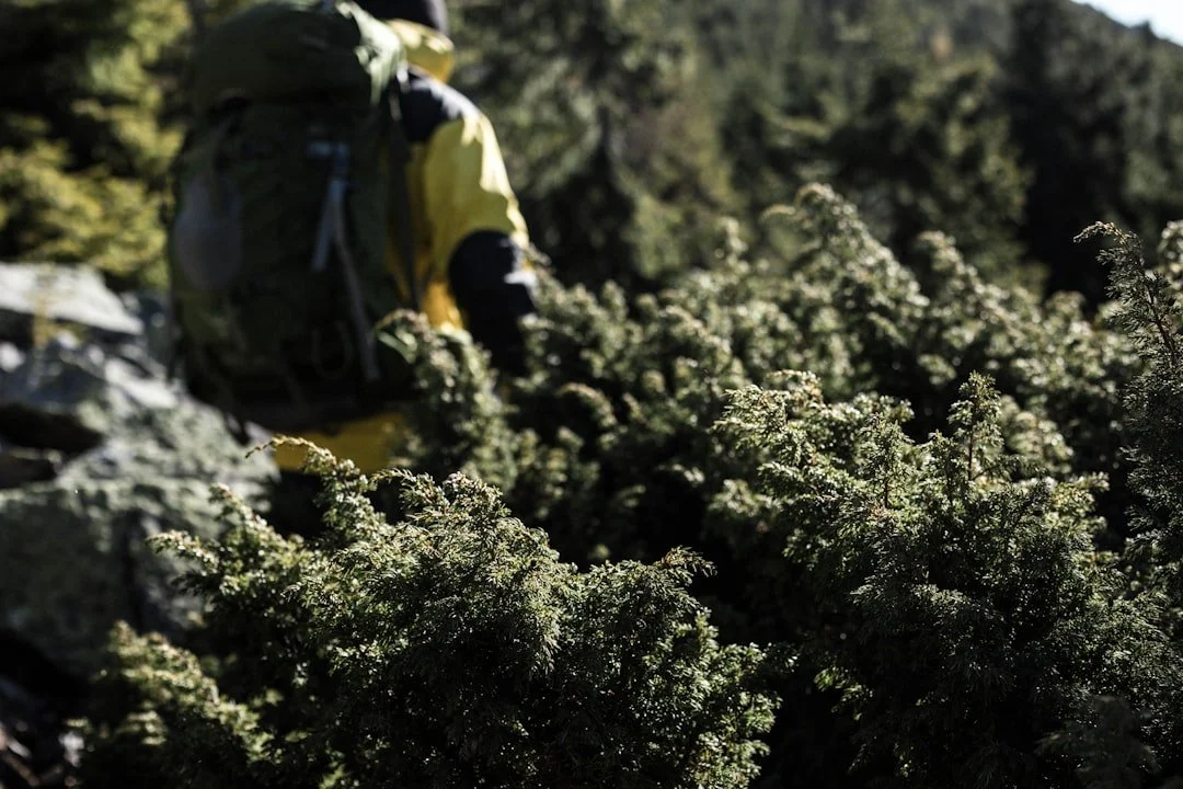 Mastering Traveler Well Being Without Losing Your Mind