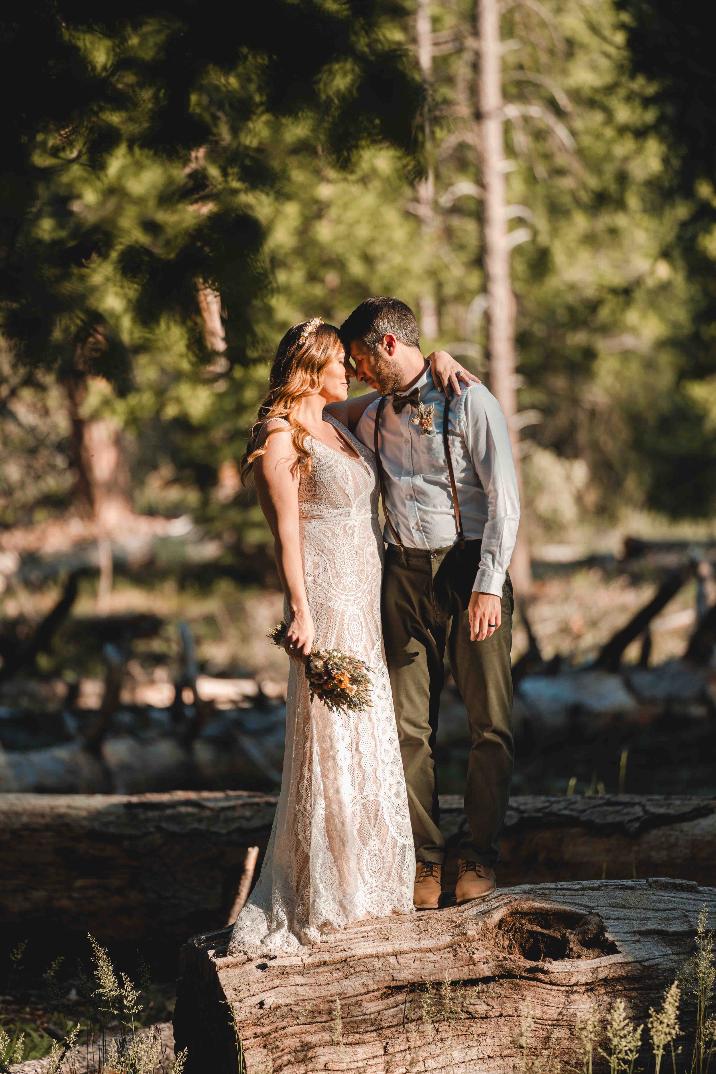 Bride and groom standing on a log under a tree at sunset