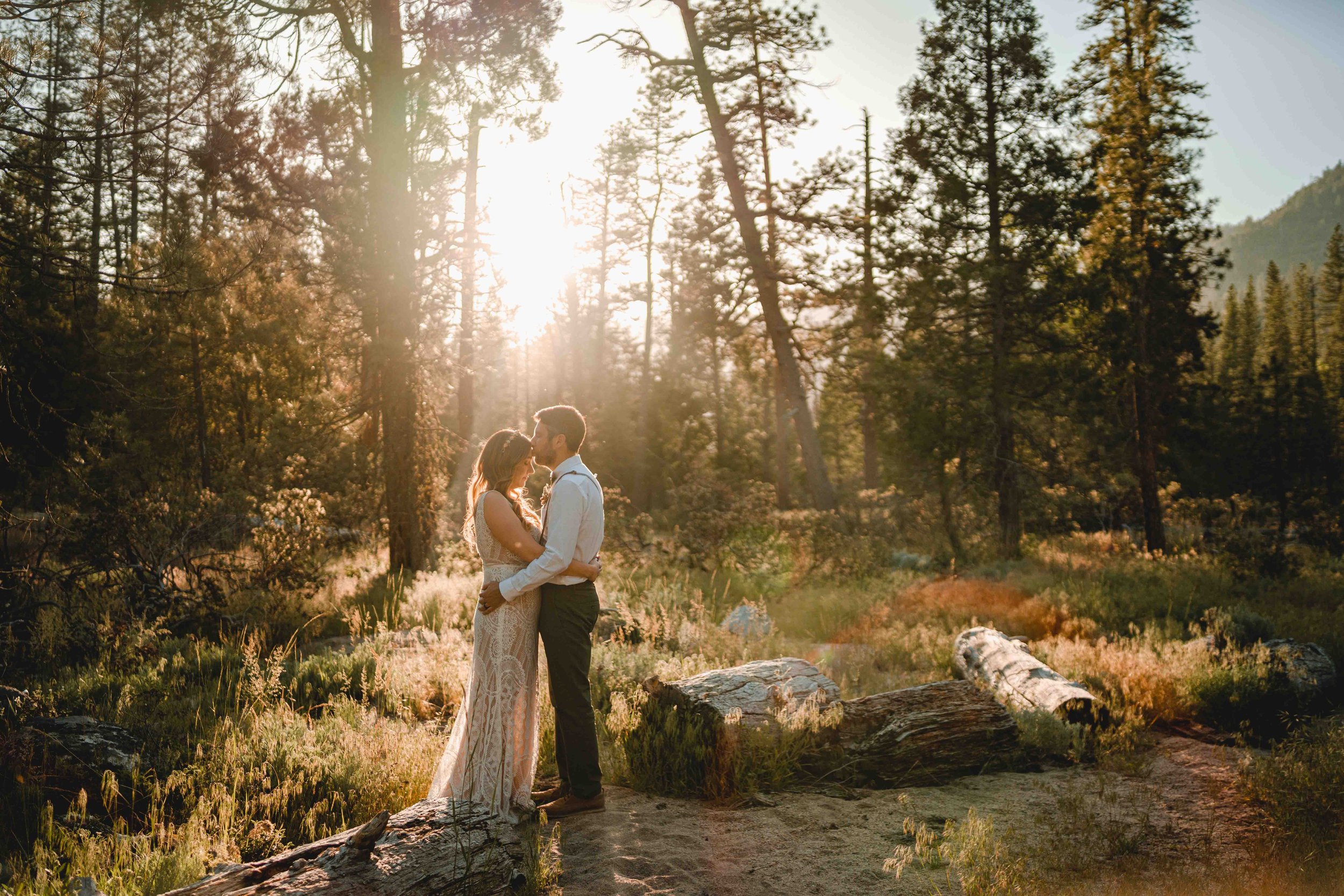 Romanic backlit photo of bride and groom in the forest