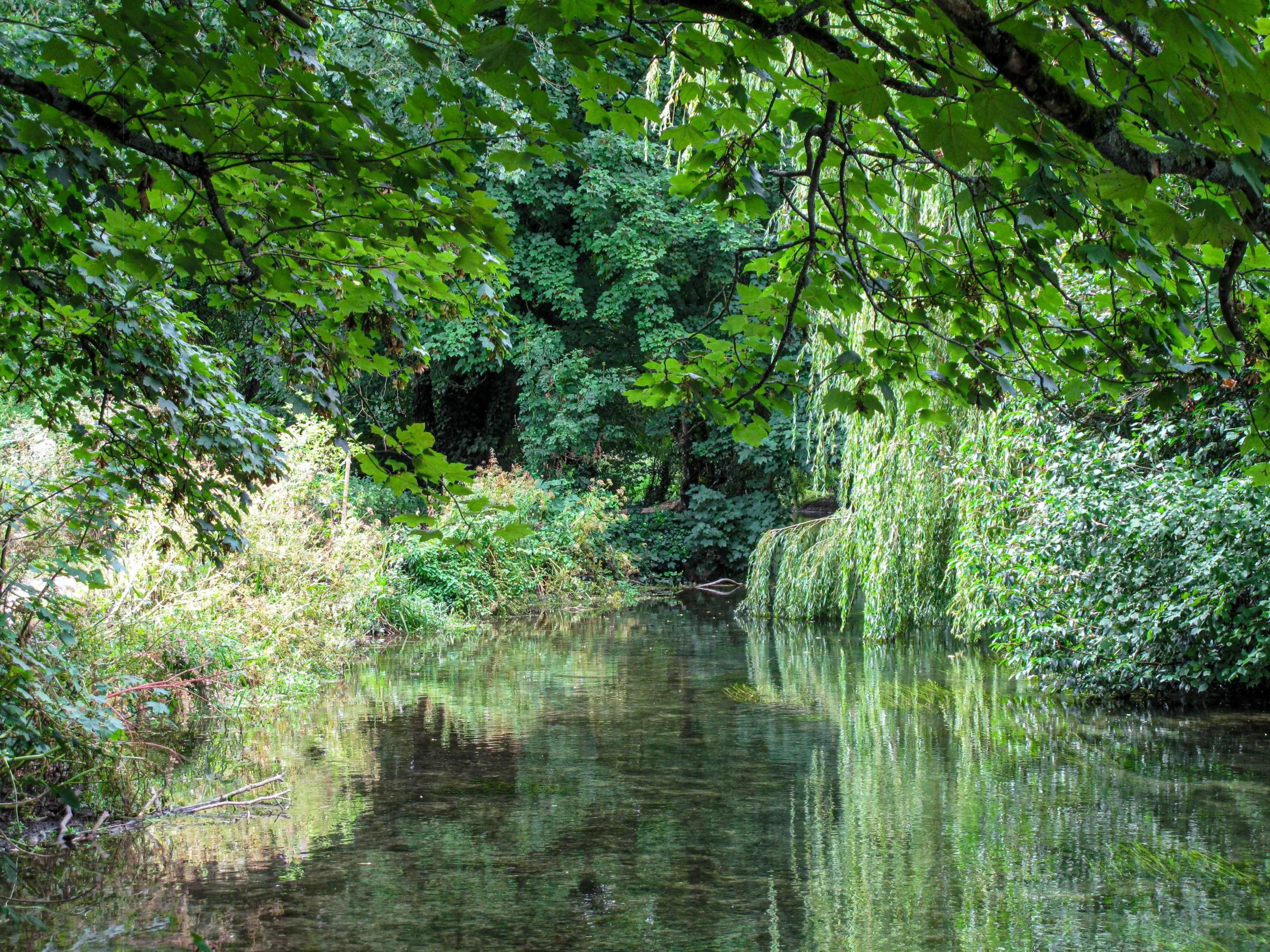 WATER + WOOD
