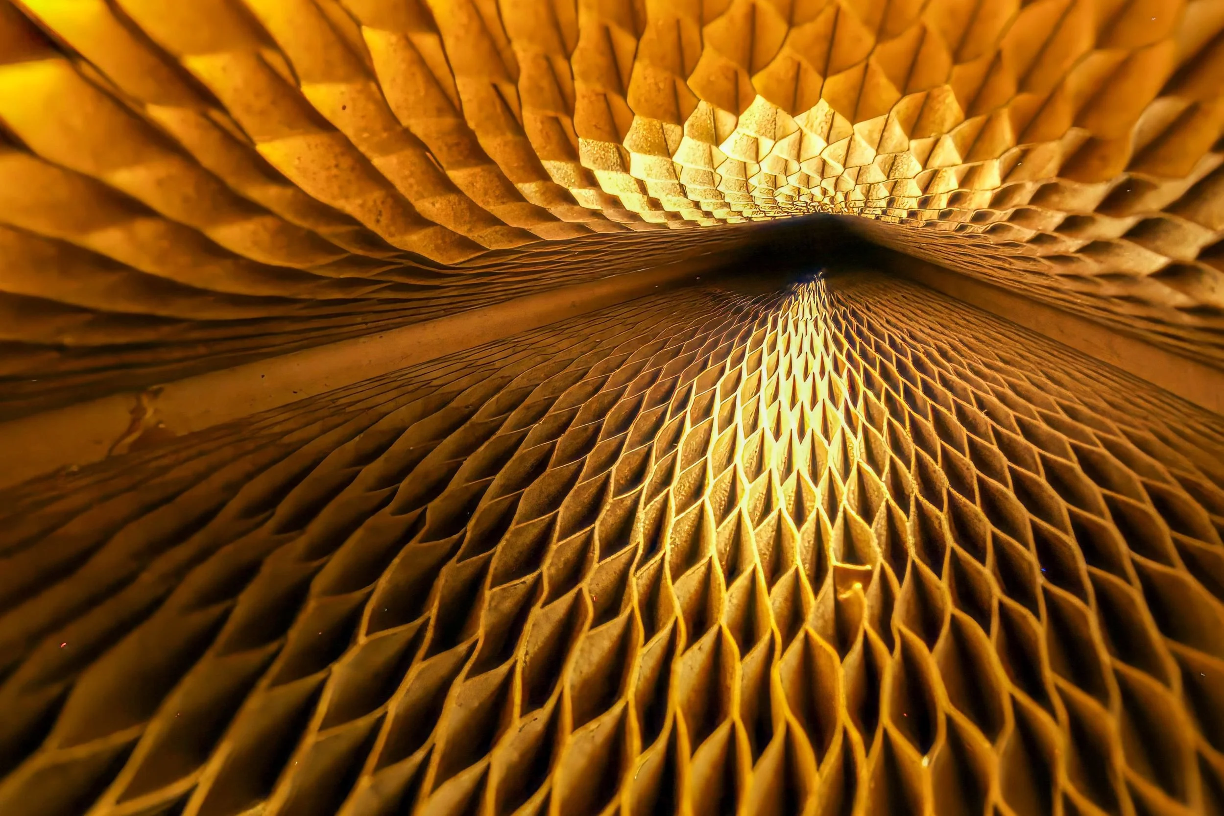 AB007 Paper architecture