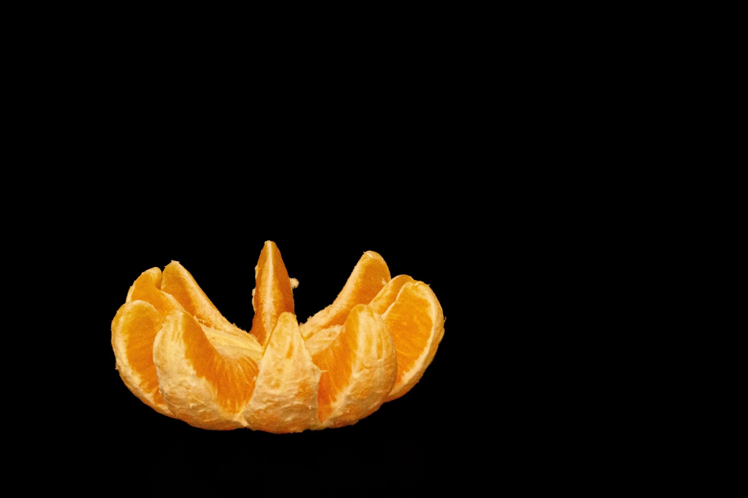 AB005 Citrus bloom
