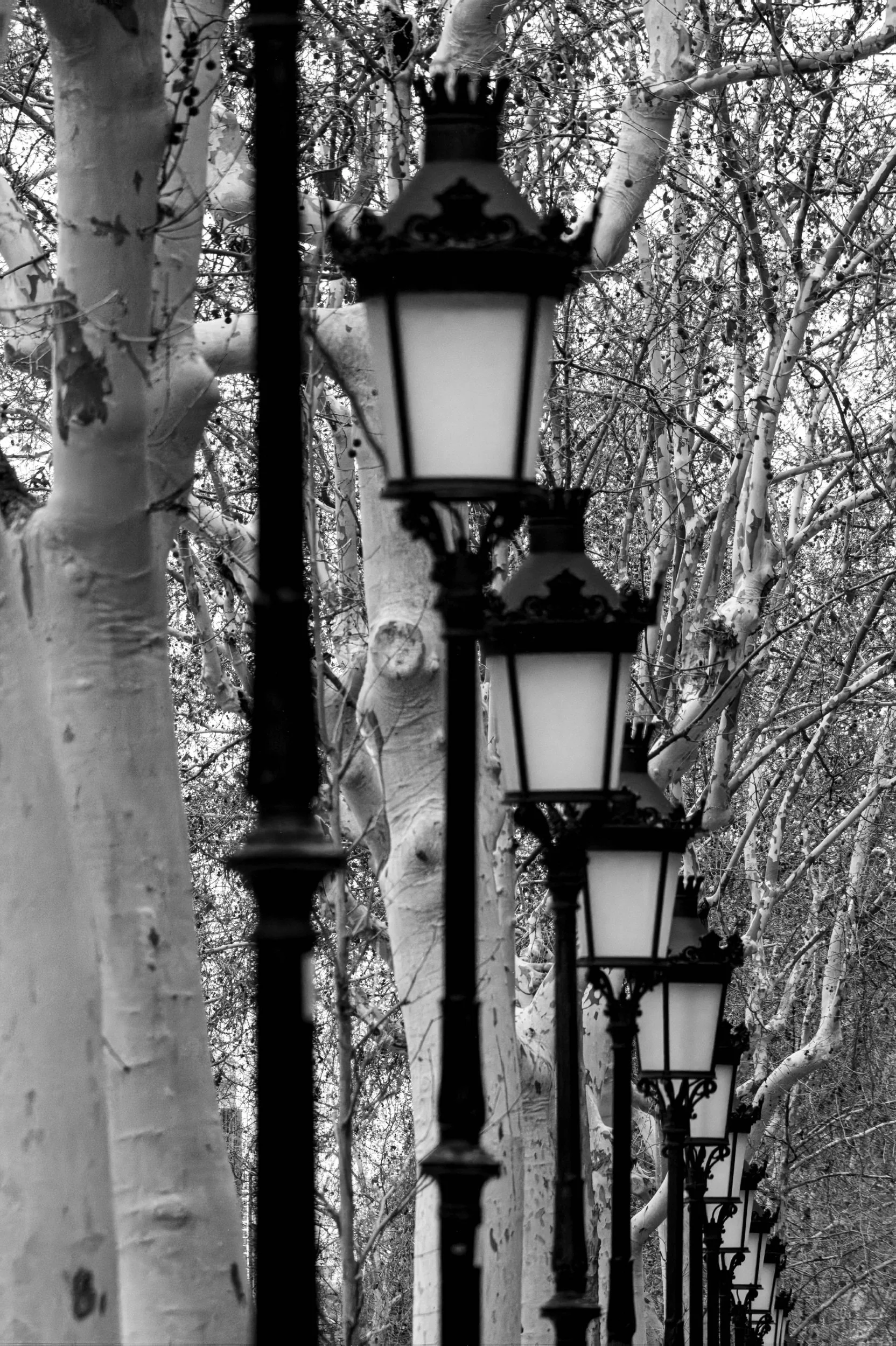 BW005 The path of light, Barcelona, Spain