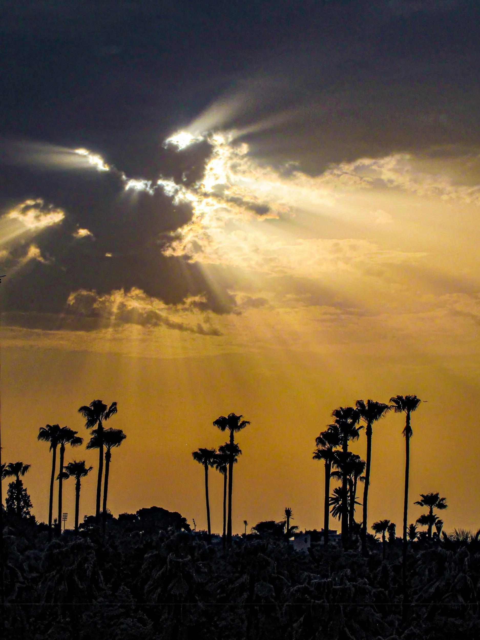 CW003 Radiance over Marrakech, Morocco