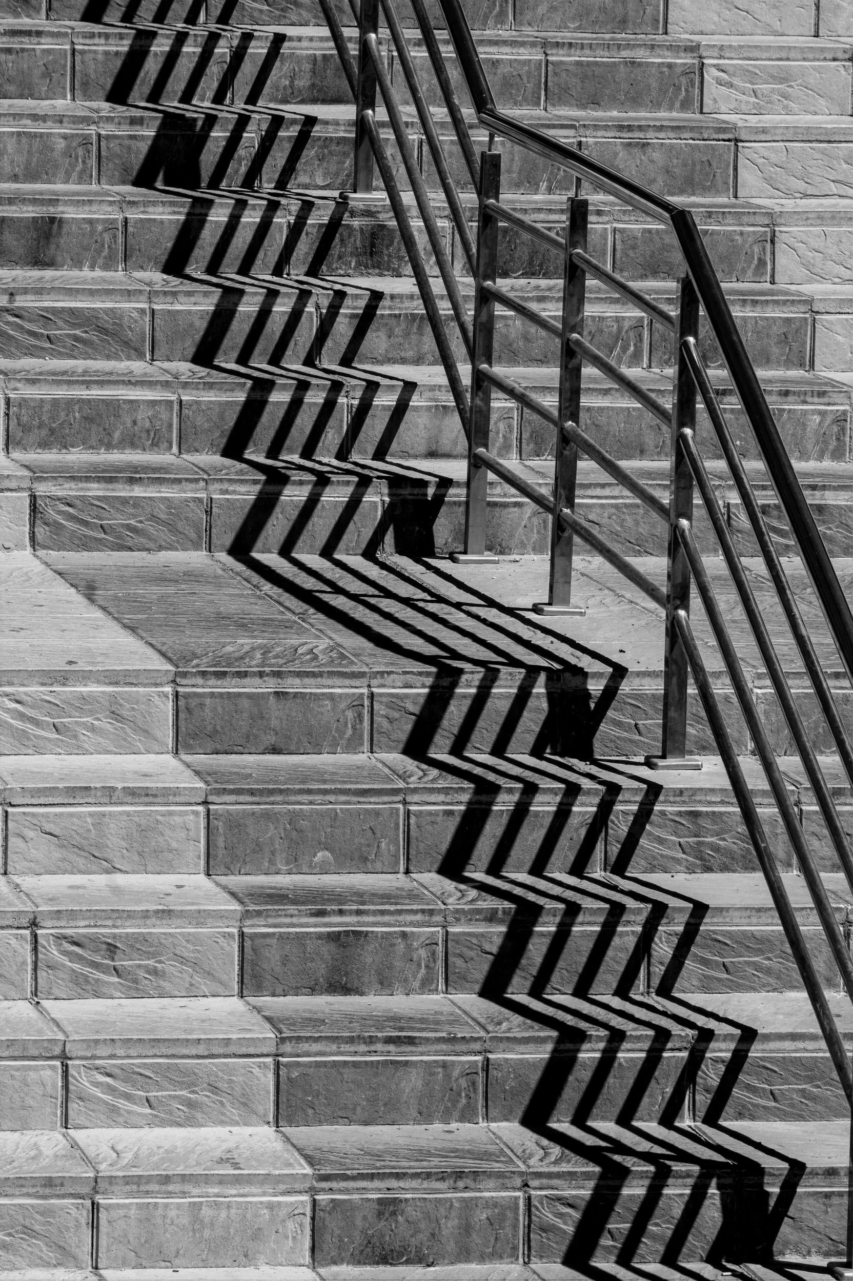 SH003 Flight shadows