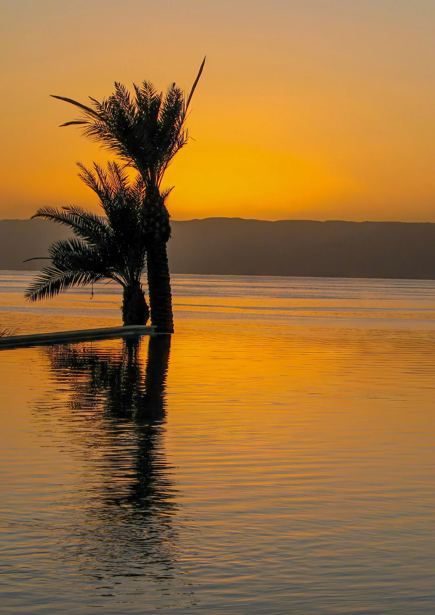 SS003 Infinite reflections, Aqaba