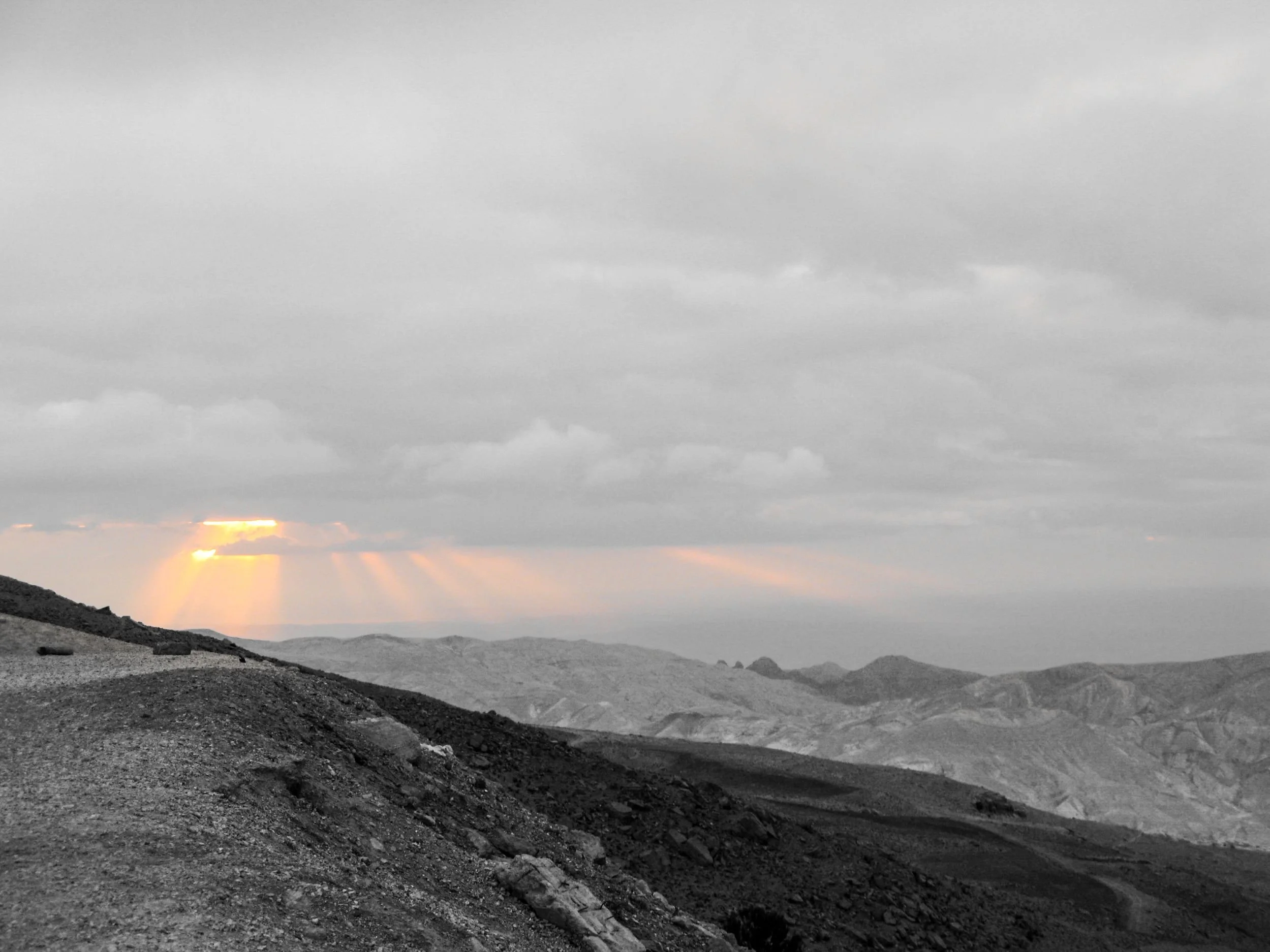 SC011 Petra breathes in gold.jpg