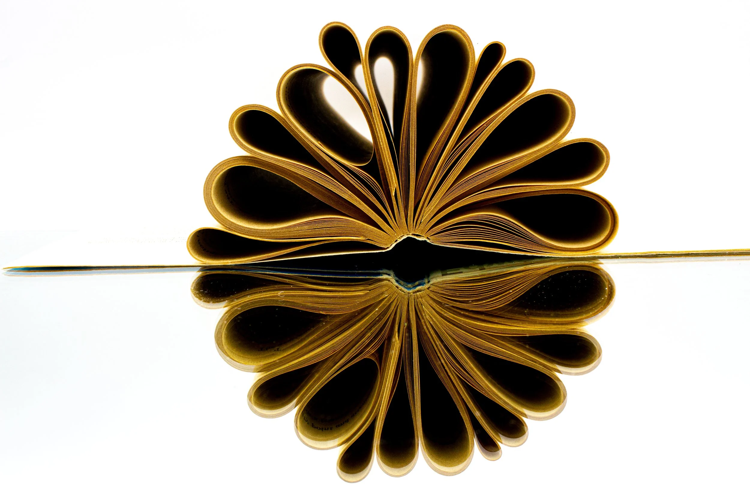 The Quiet Moments of Creativity