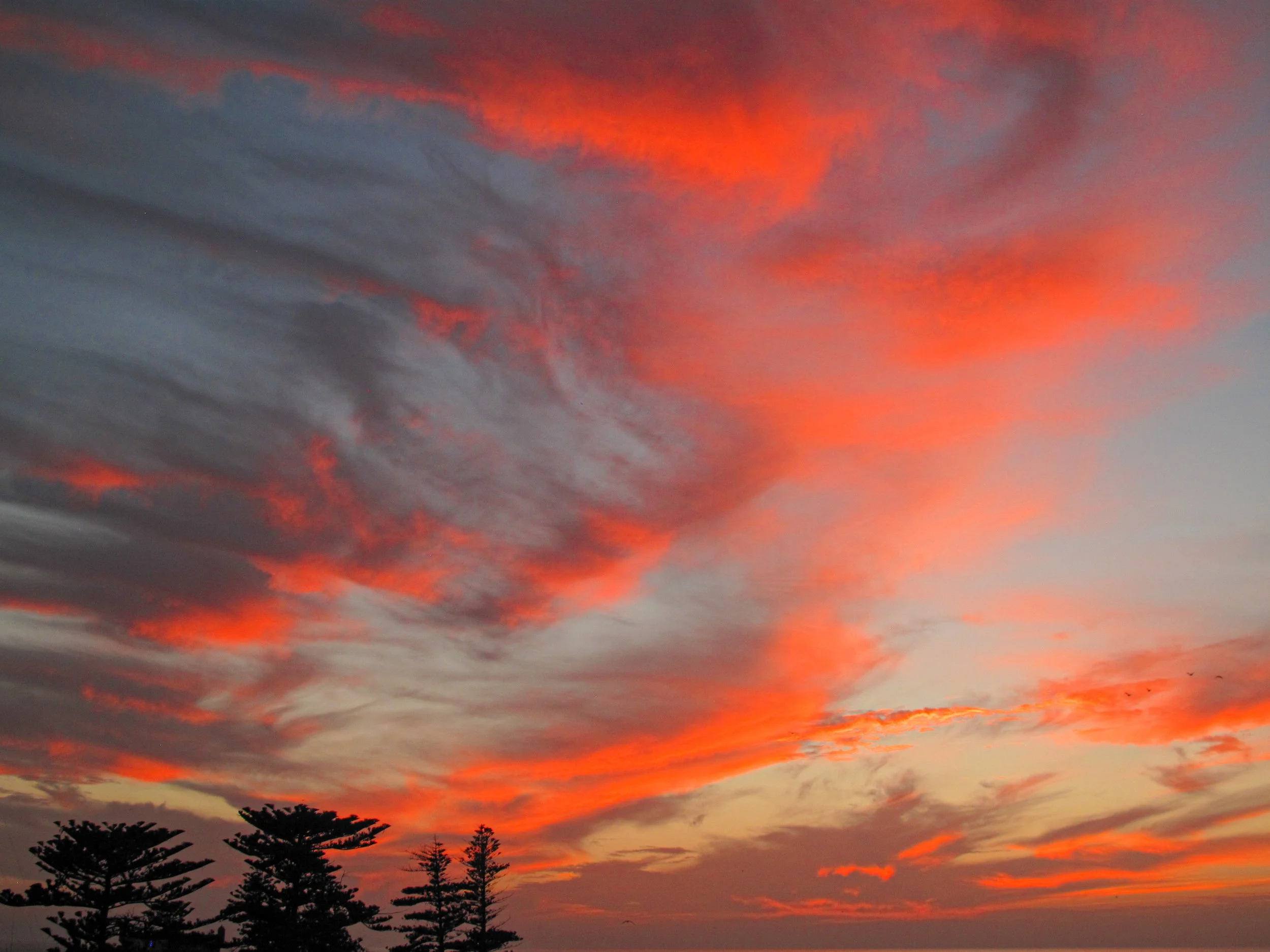 The Art of Seeing Slowly: Why Patience Shapes the Photographer More Than Gear