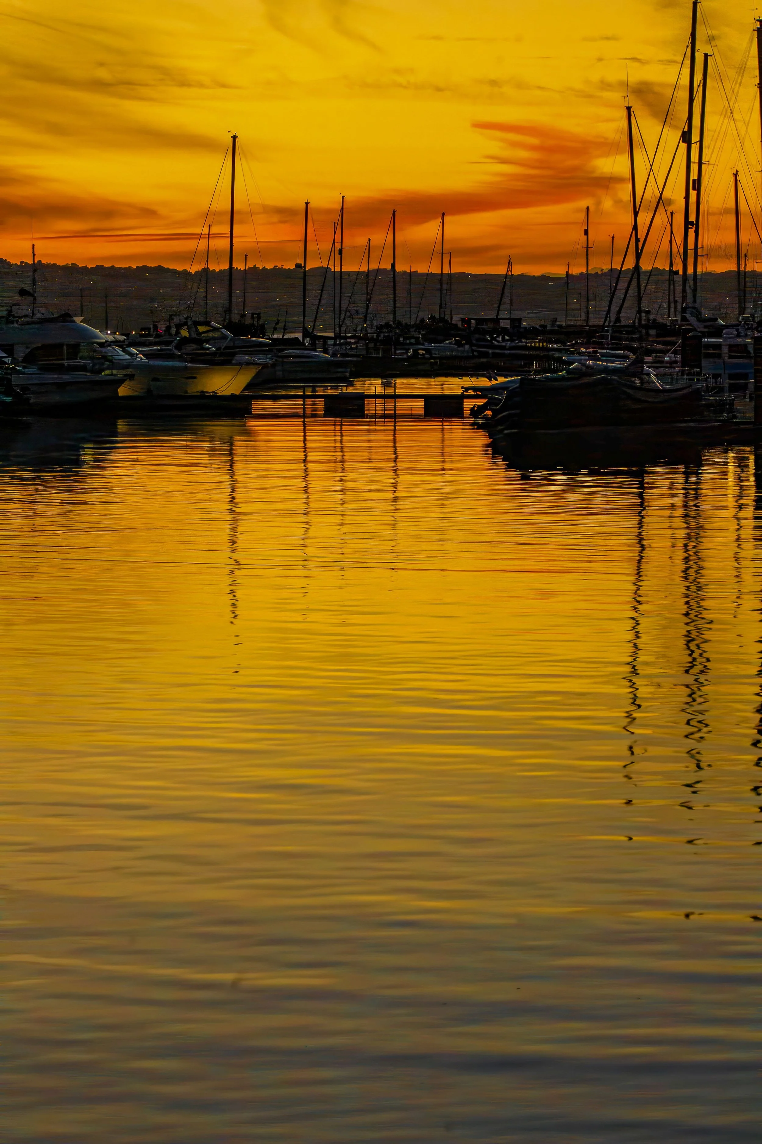 SS017 Golden reflections.jpg