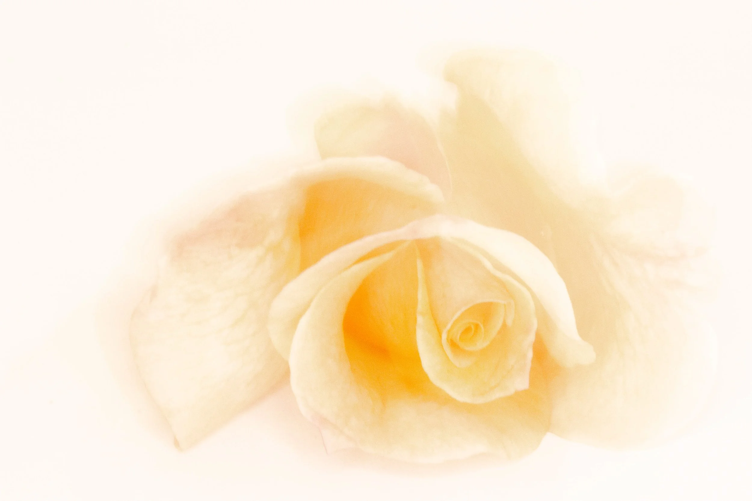 AB001 Unfolding without reason