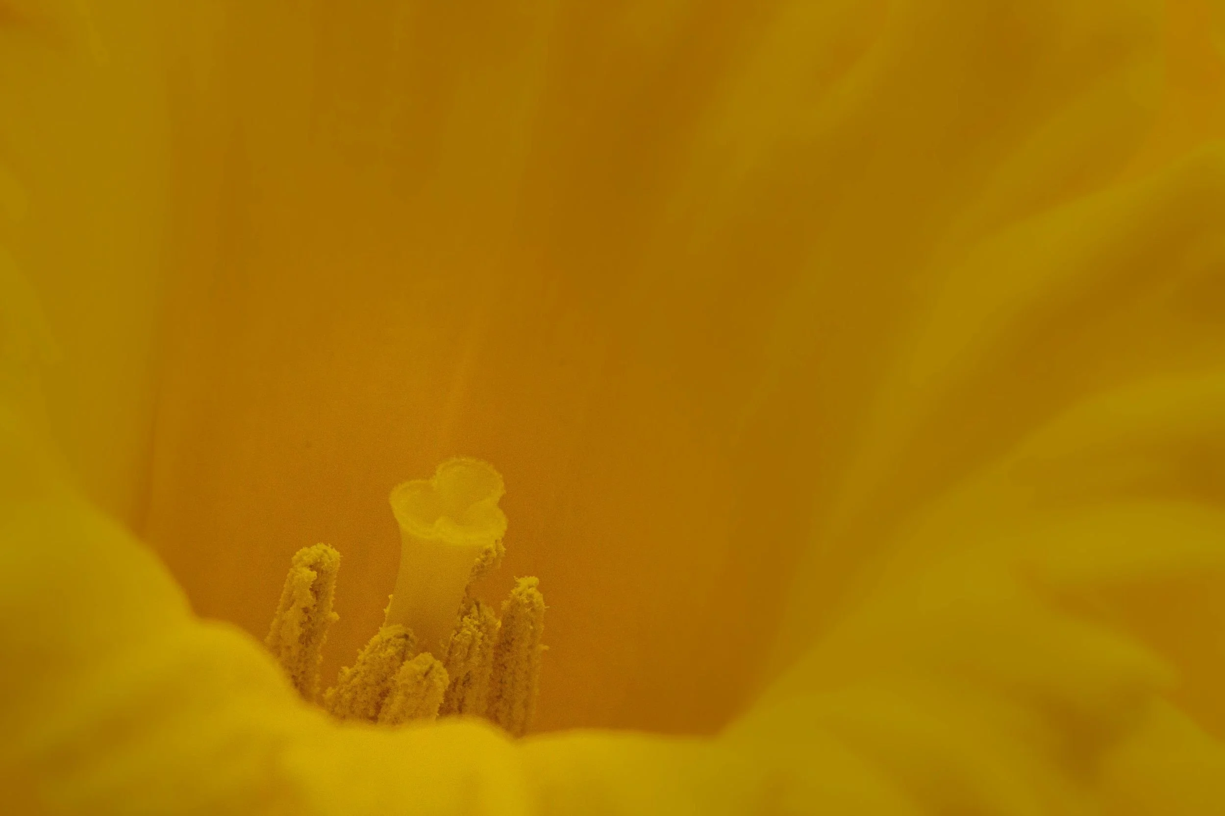 MA005 The shape of sunlight.jpg