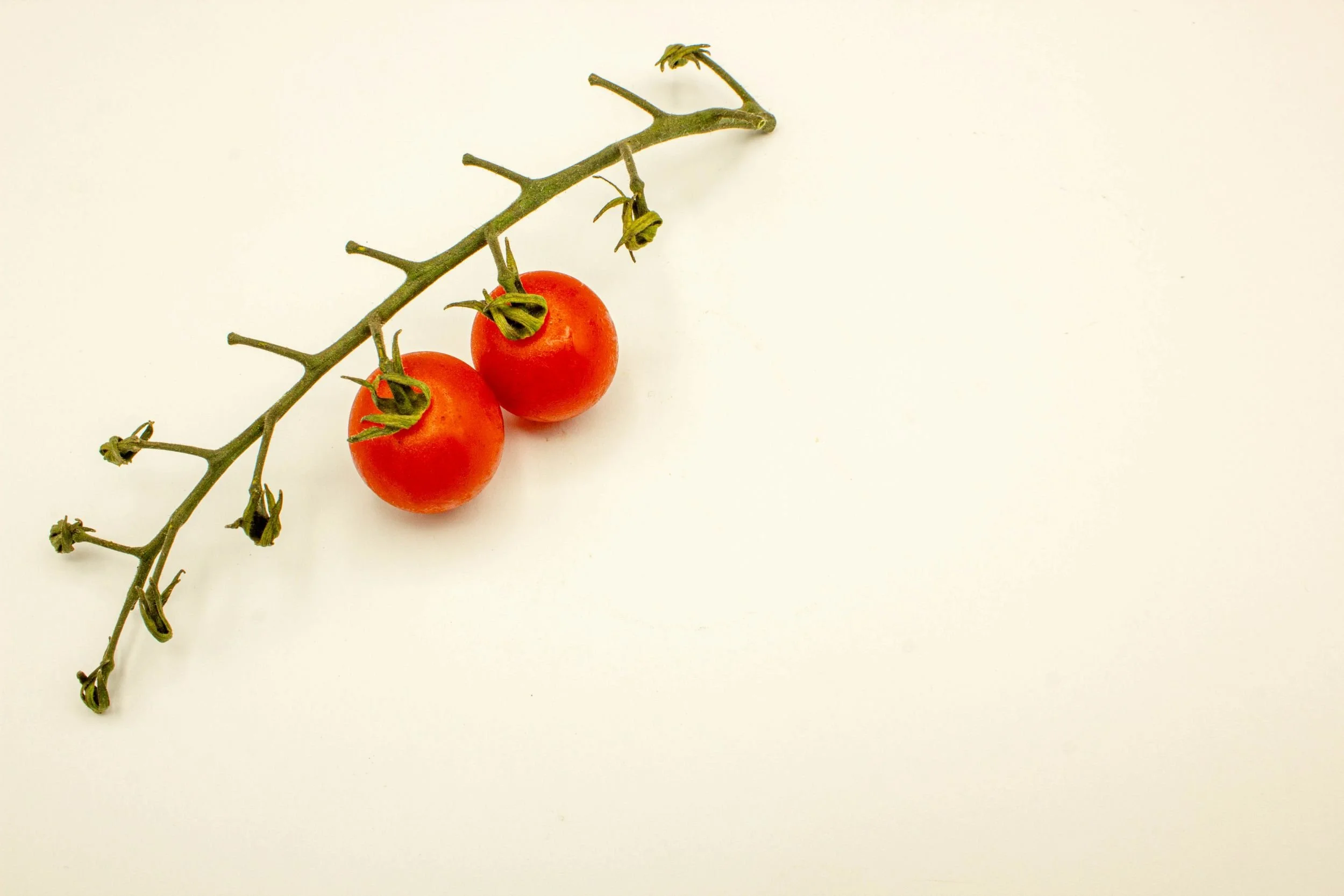 MI003 Seasonal stillness.jpg