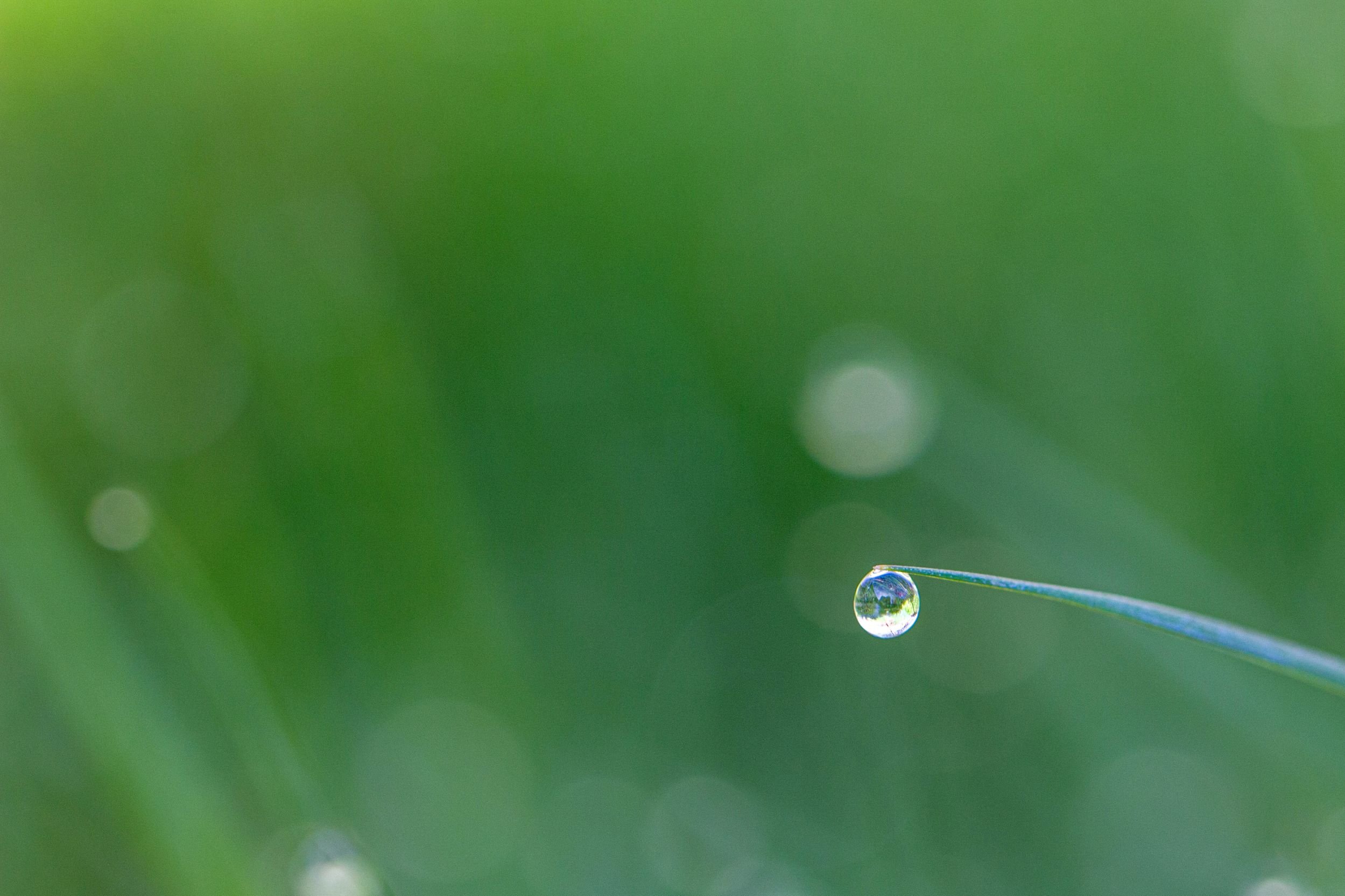 MI006 In teh balance.jpg