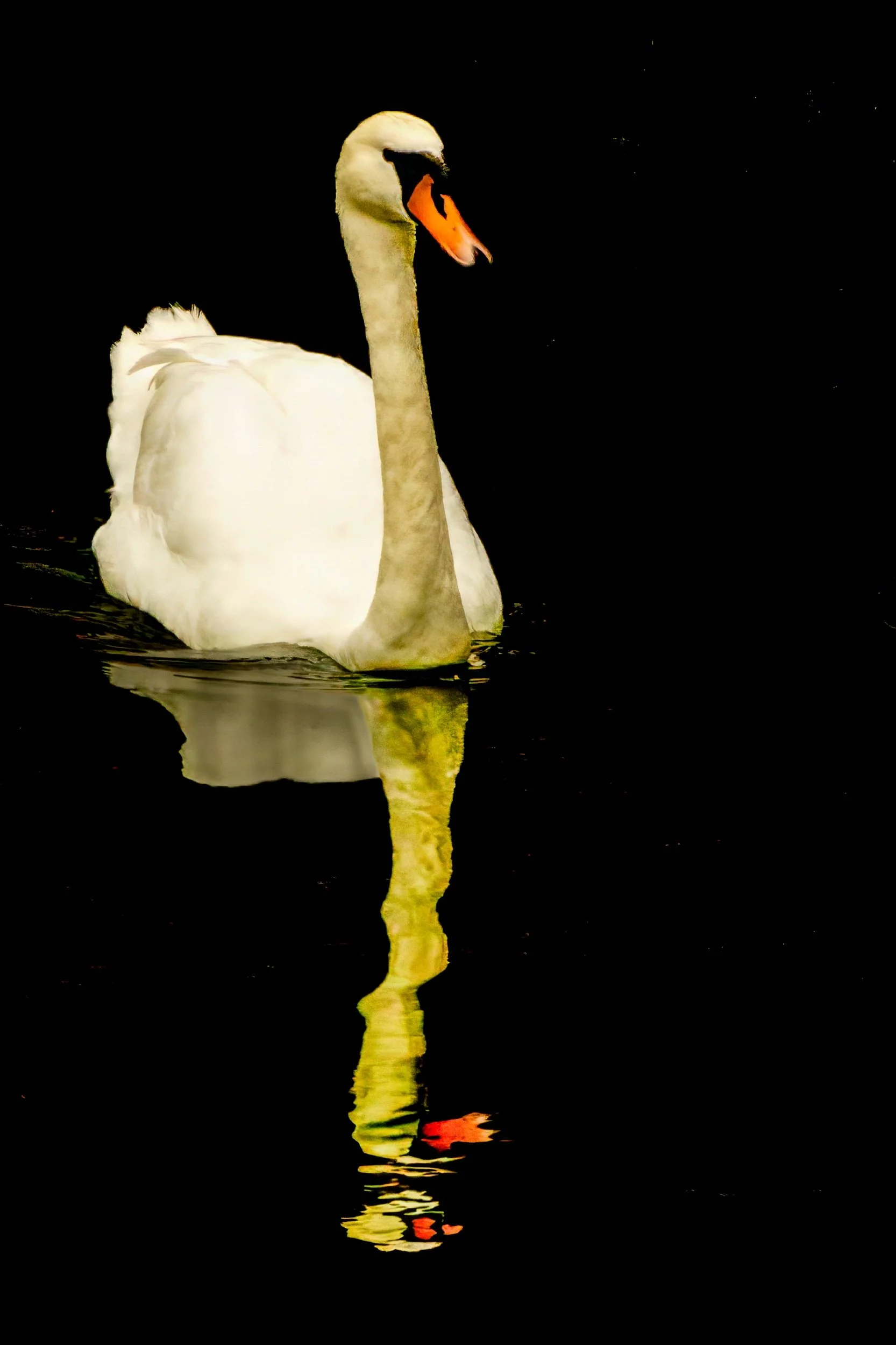 RE004 Inky embrace.jpg