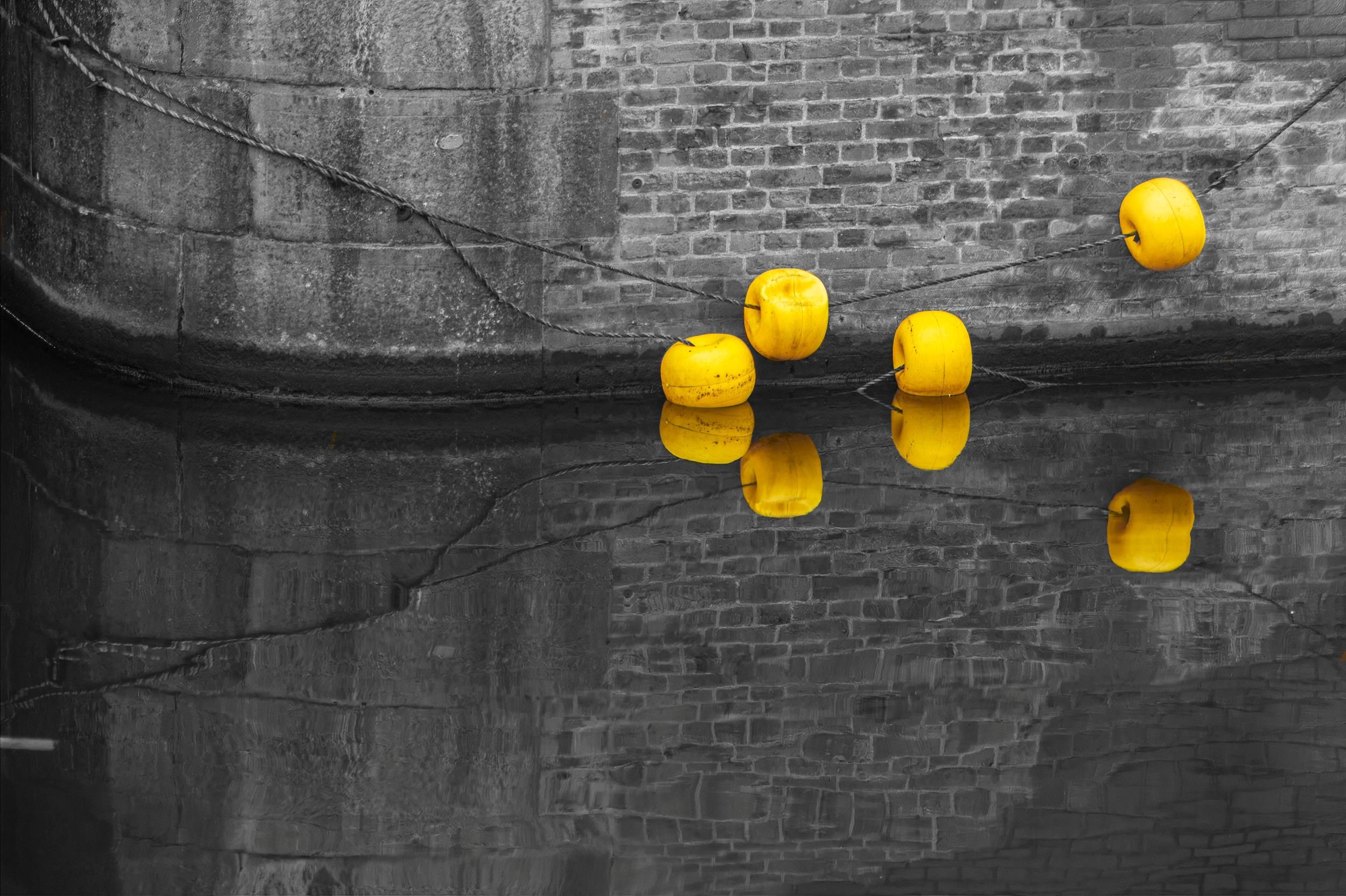 SC003 Canal silence interupted.jpg