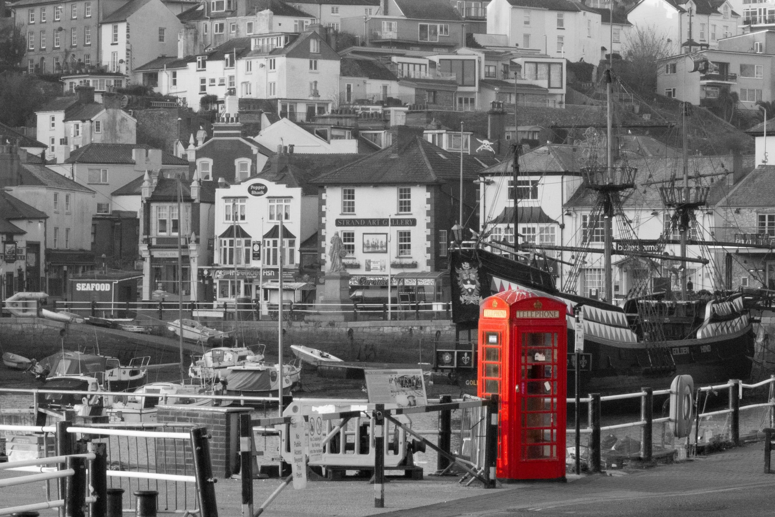 SC008 Red call in silence.jpg