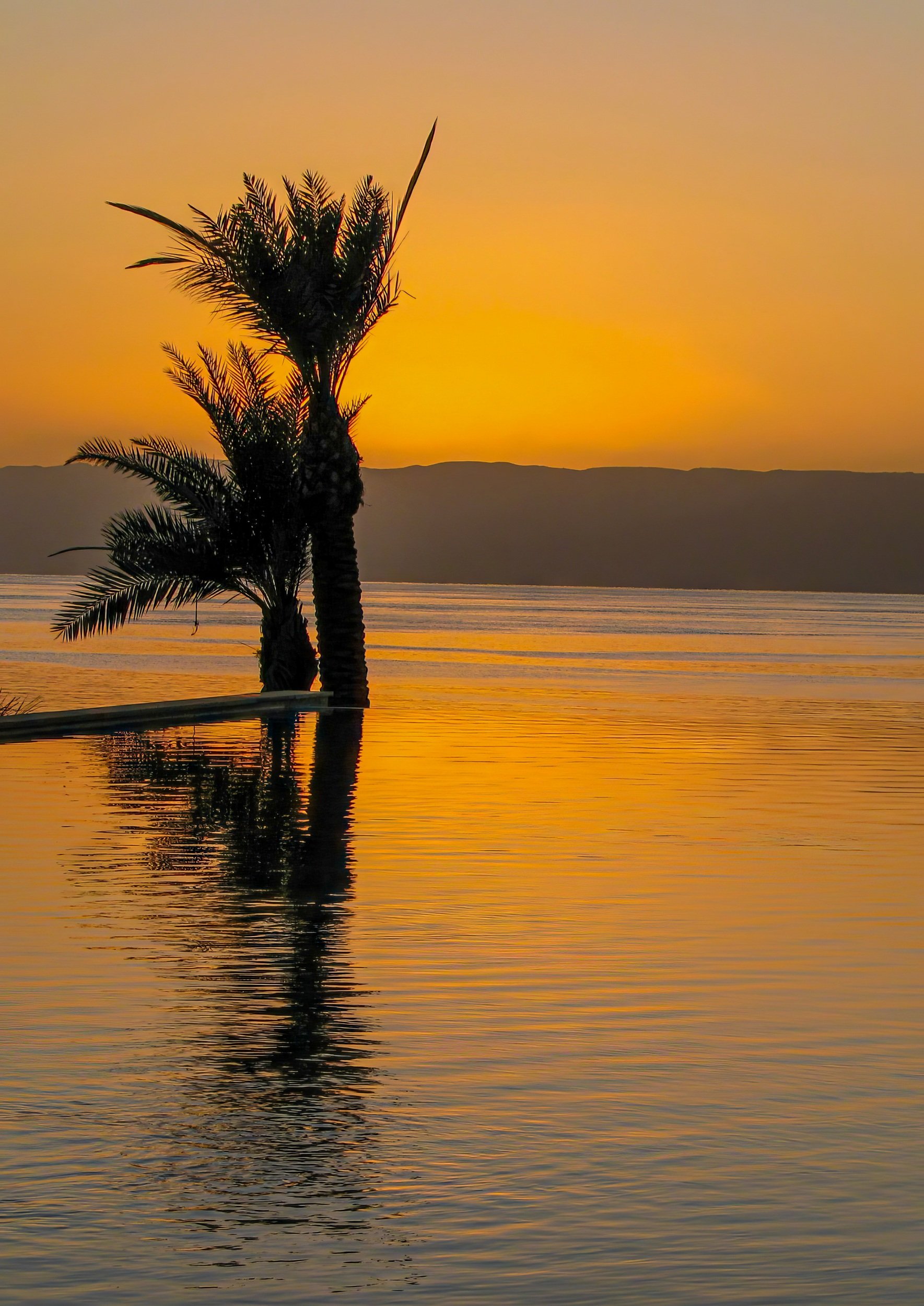 SS003 Infinte reflections, Aqaba.jpg