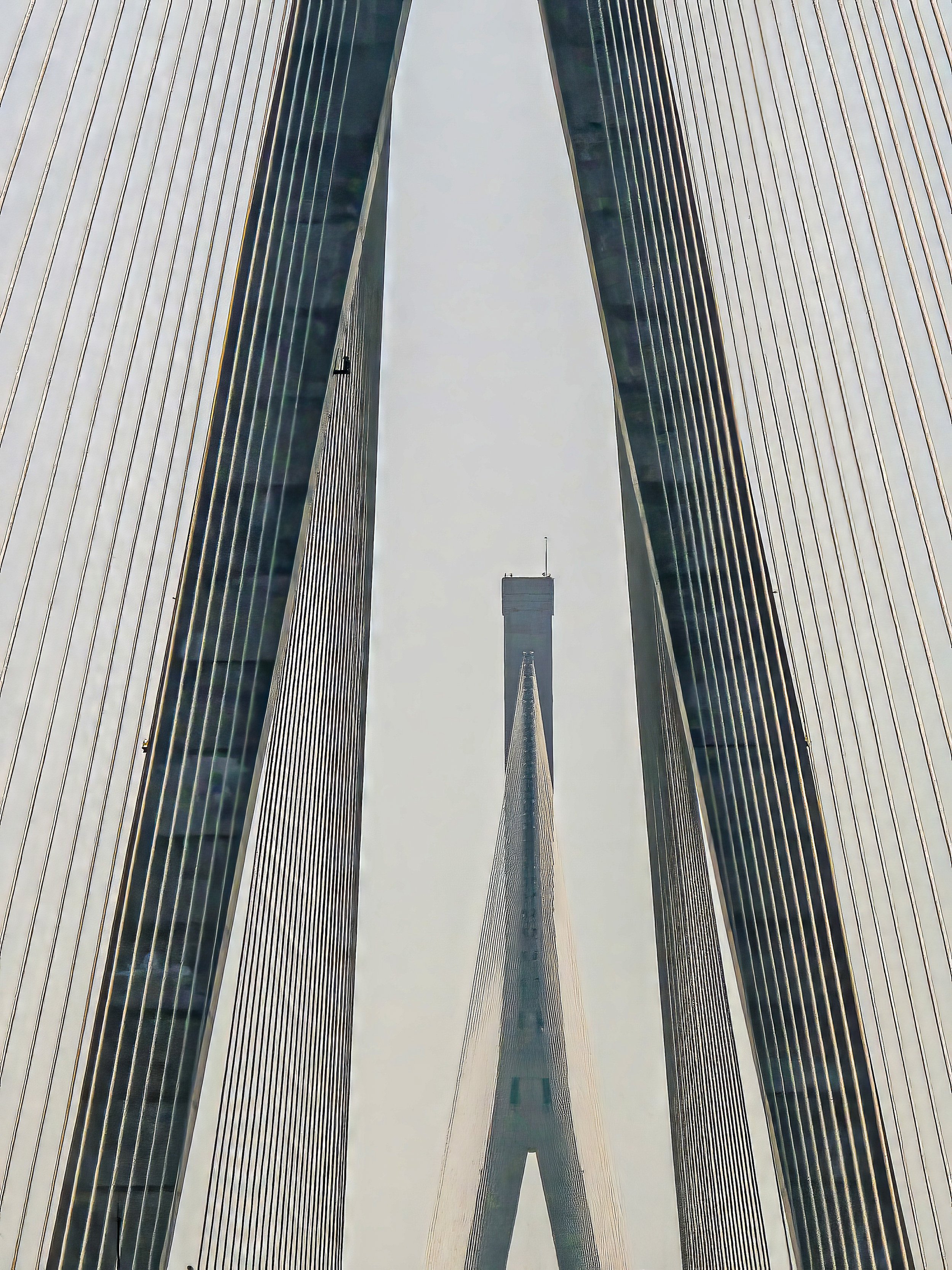 Does Expensive Gear give you good photos?