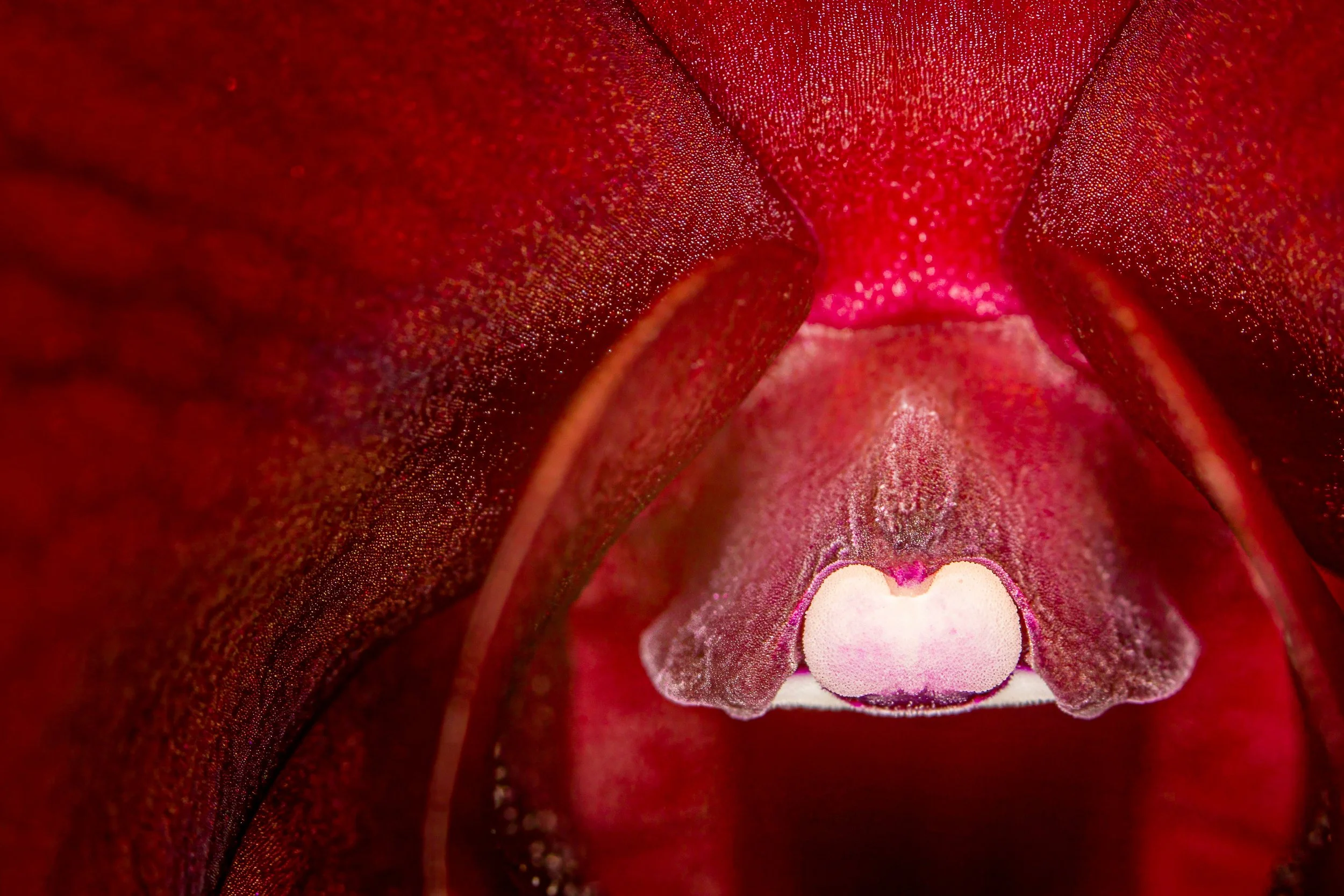 What is Abstract Photography?