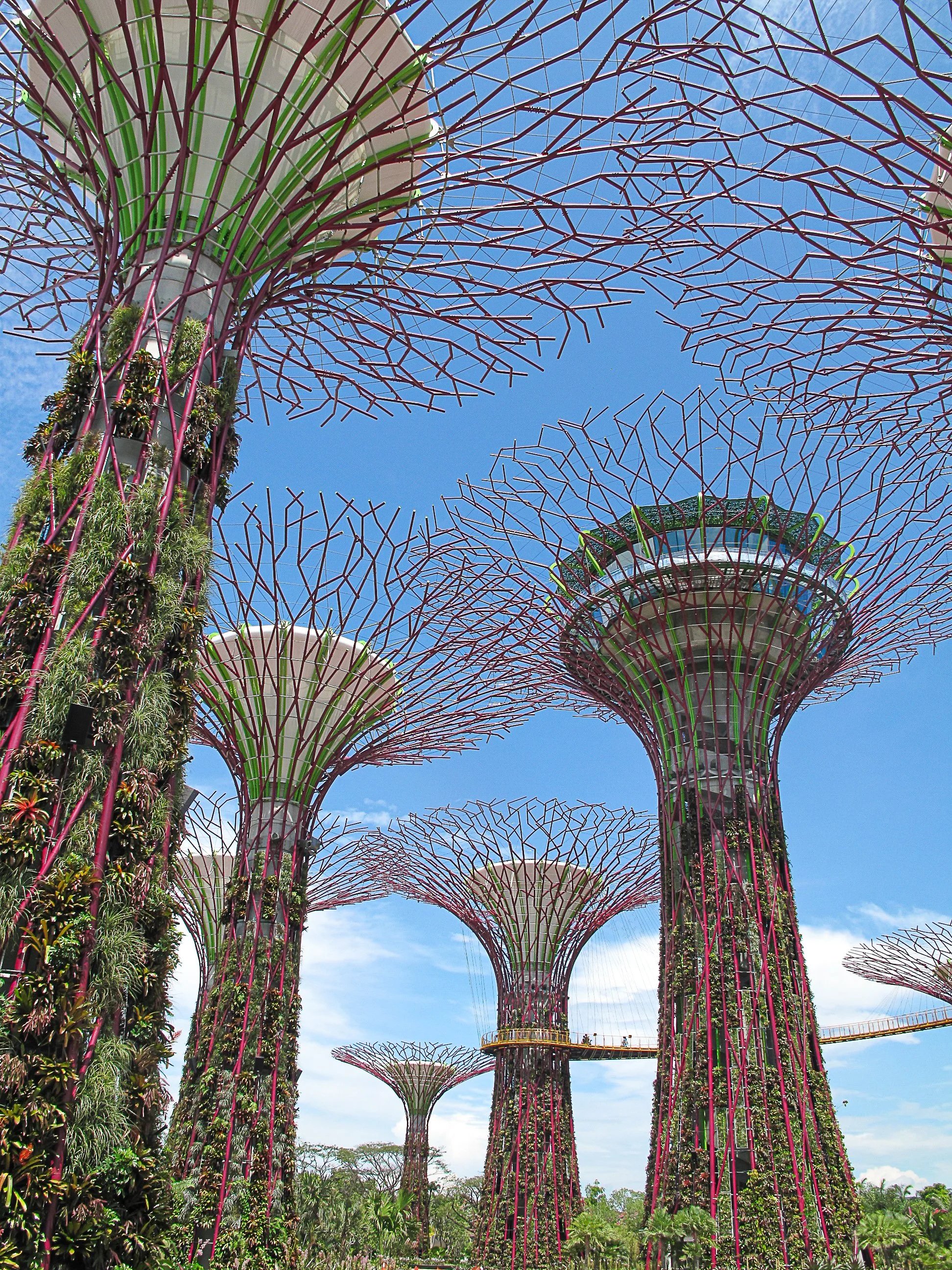 Supertree symphony