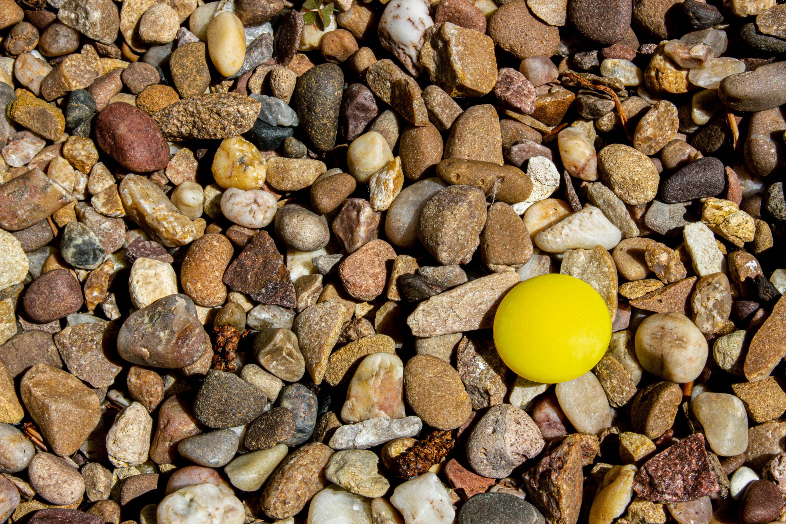 Yellow without reason