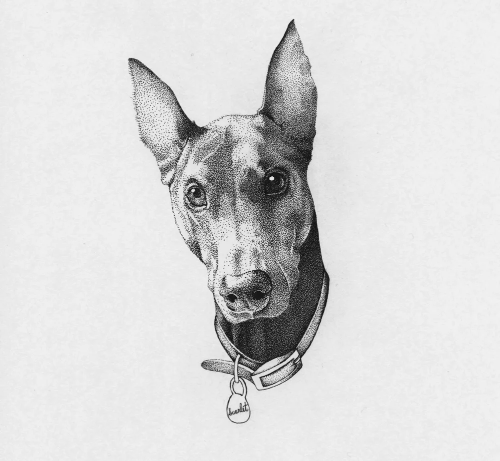 doberman-dog-illustration.jpg
